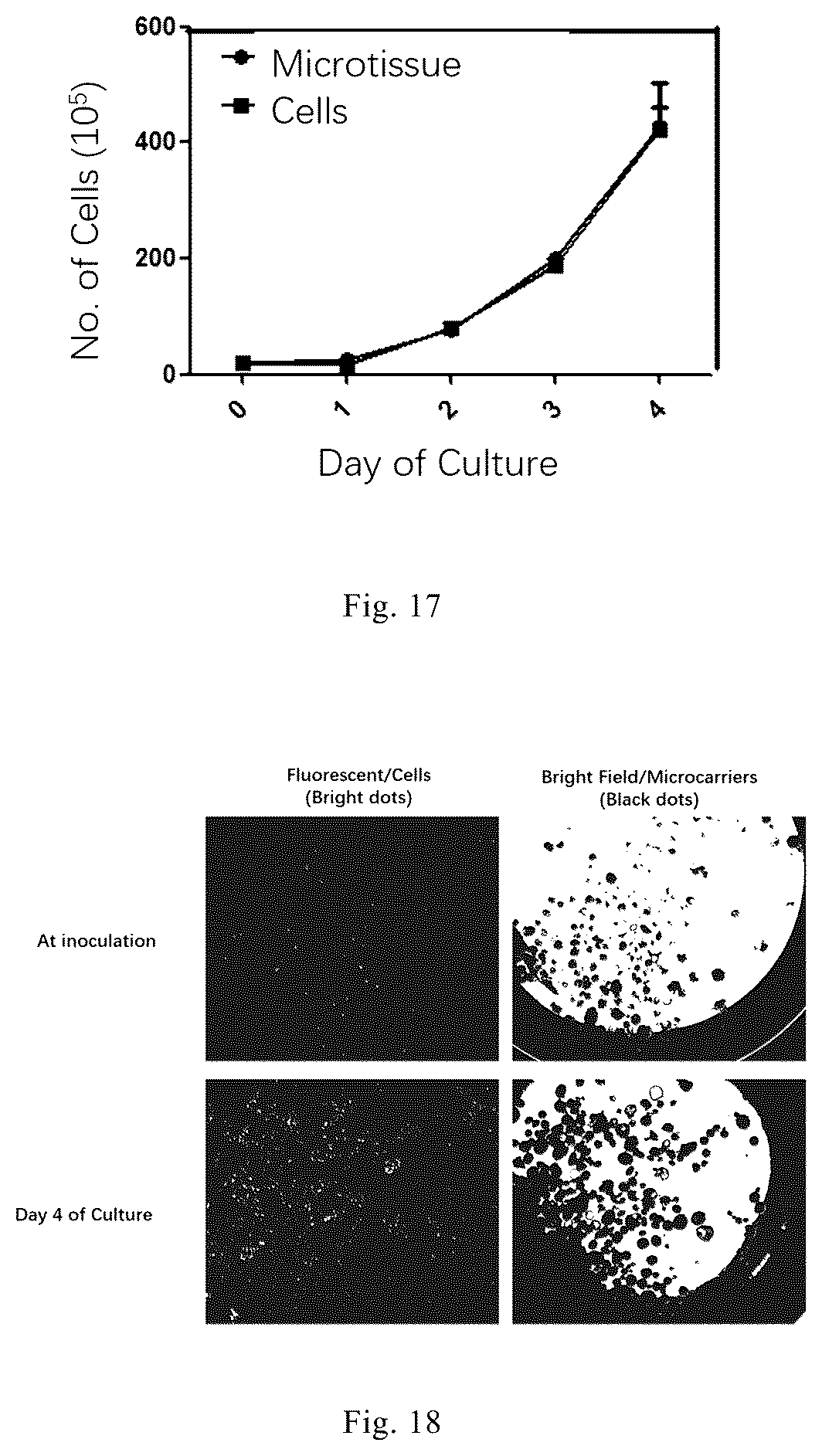 Patent US12338461 Figure 8 – Three-dimensional culture method for large-scale preparation of stem cells