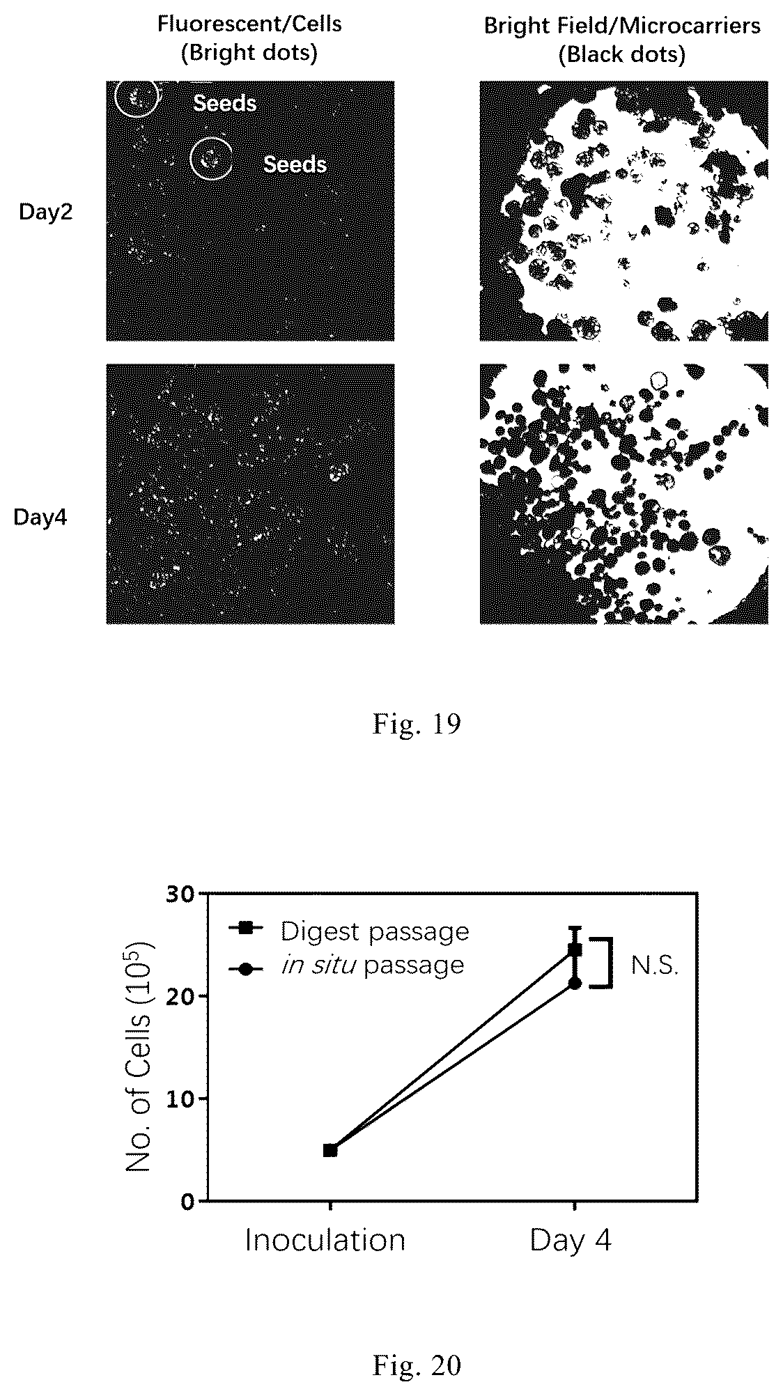 Patent US12338461 Figure 9 – Three-dimensional culture method for large-scale preparation of stem cells
