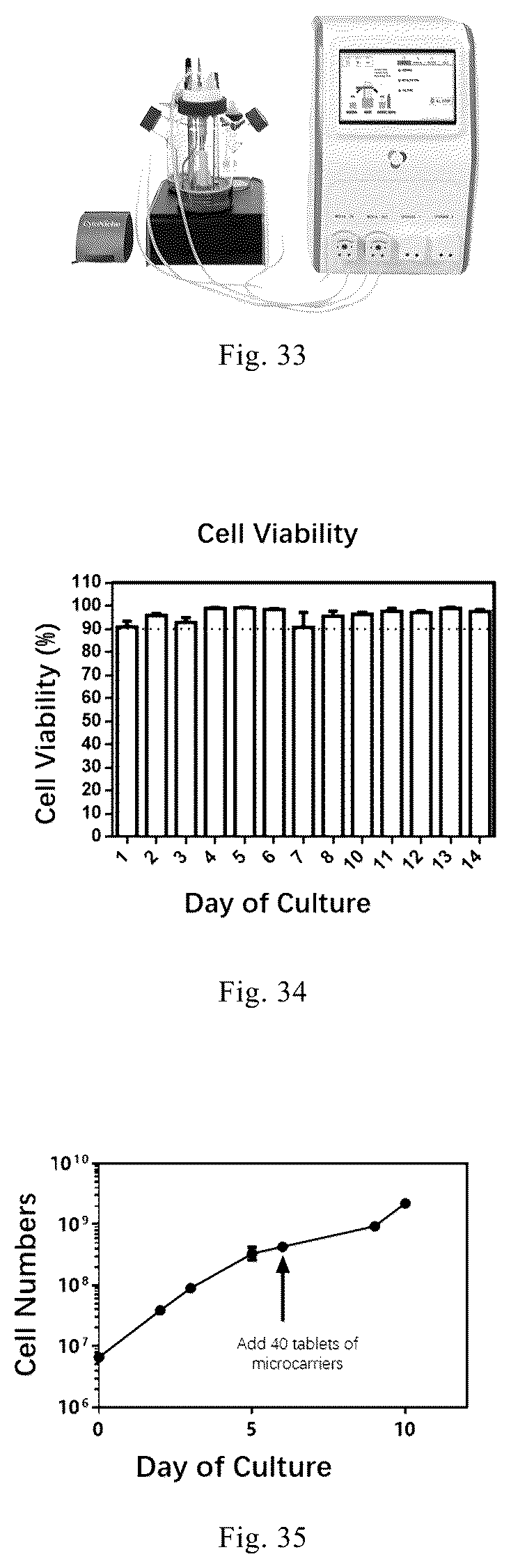 Patent US12338461 Figure 15 – Three-dimensional culture method for large-scale preparation of stem cells