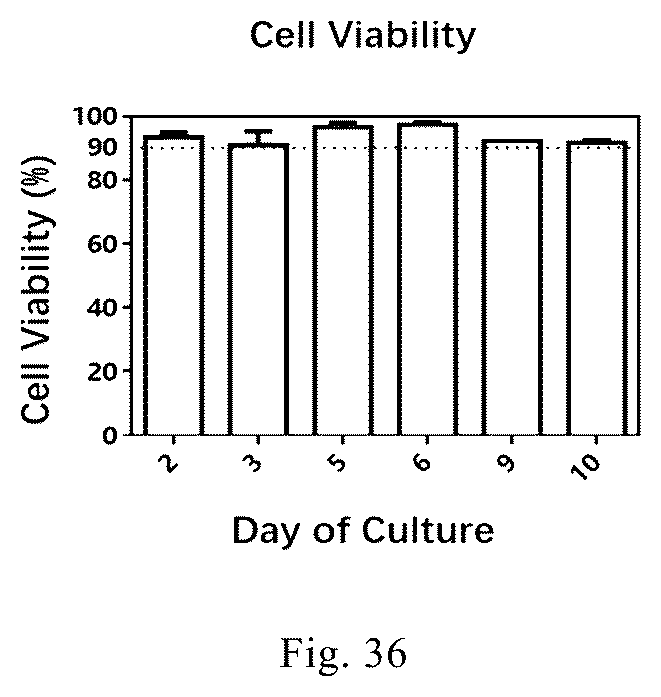 Patent US12338461 Figure 16 – Three-dimensional culture method for large-scale preparation of stem cells