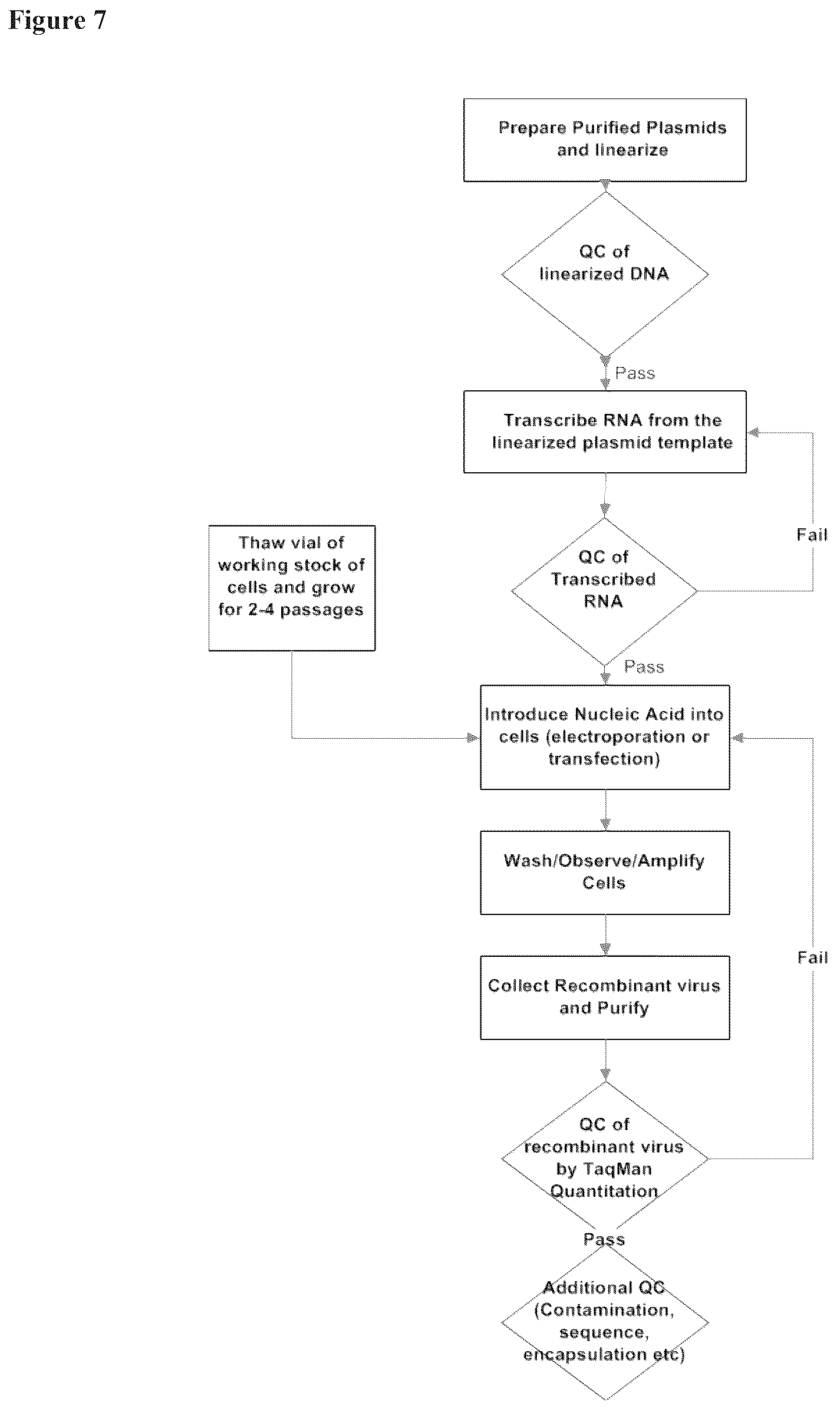 Patent US12338463 Figure 7 – Sindbis control virus