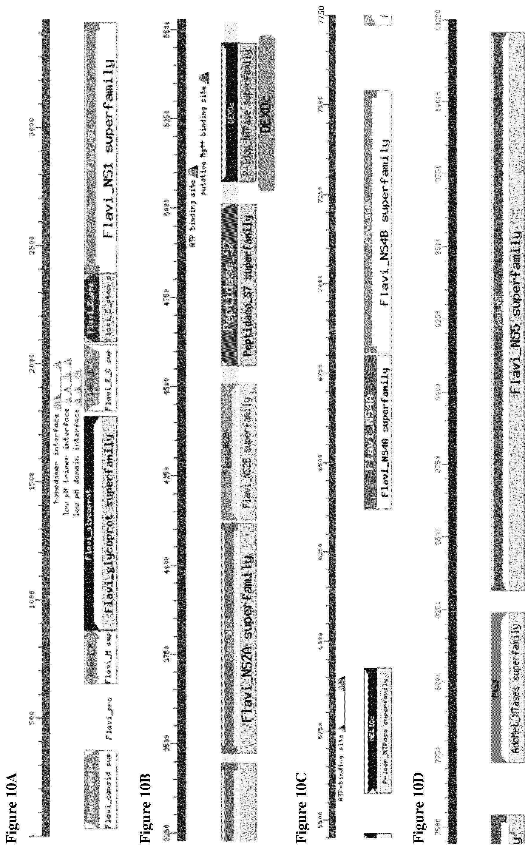 Patent US12338463 Figure 10 – Sindbis control virus