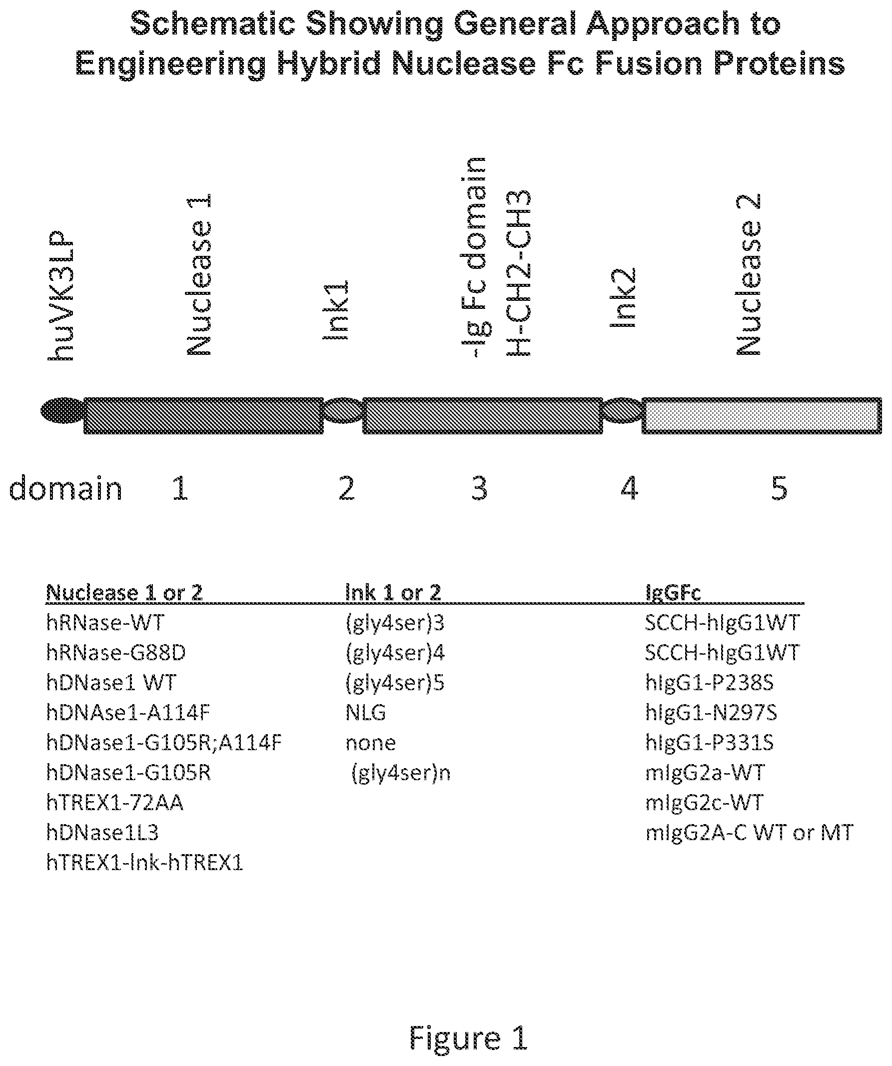 Patent US12338466 Figure 1 – Therapeutic nuclease compositions and methods