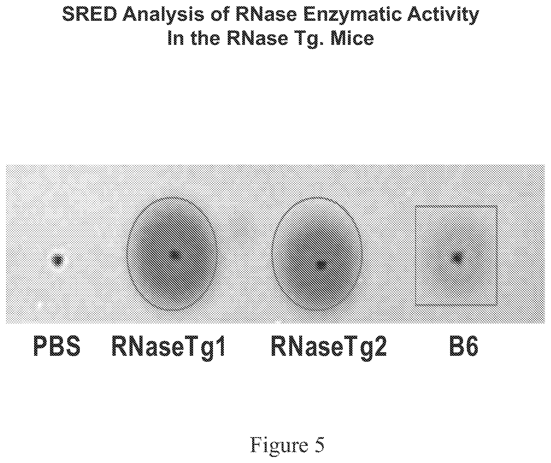 Patent US12338466 Figure 5 – Therapeutic nuclease compositions and methods