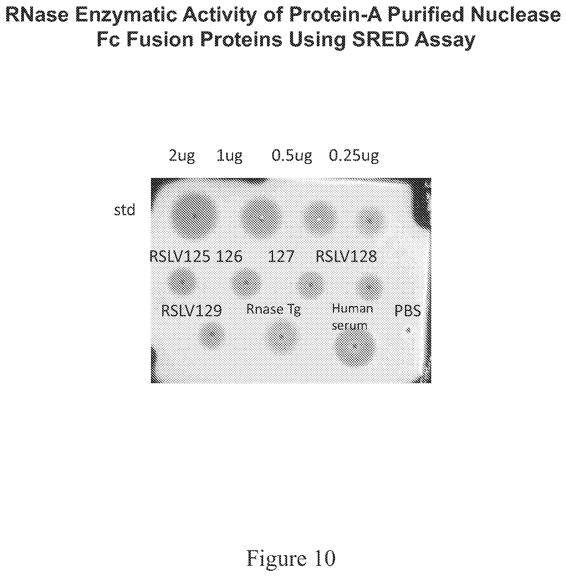 Patent US12338466 Figure 10 – Therapeutic nuclease compositions and methods
