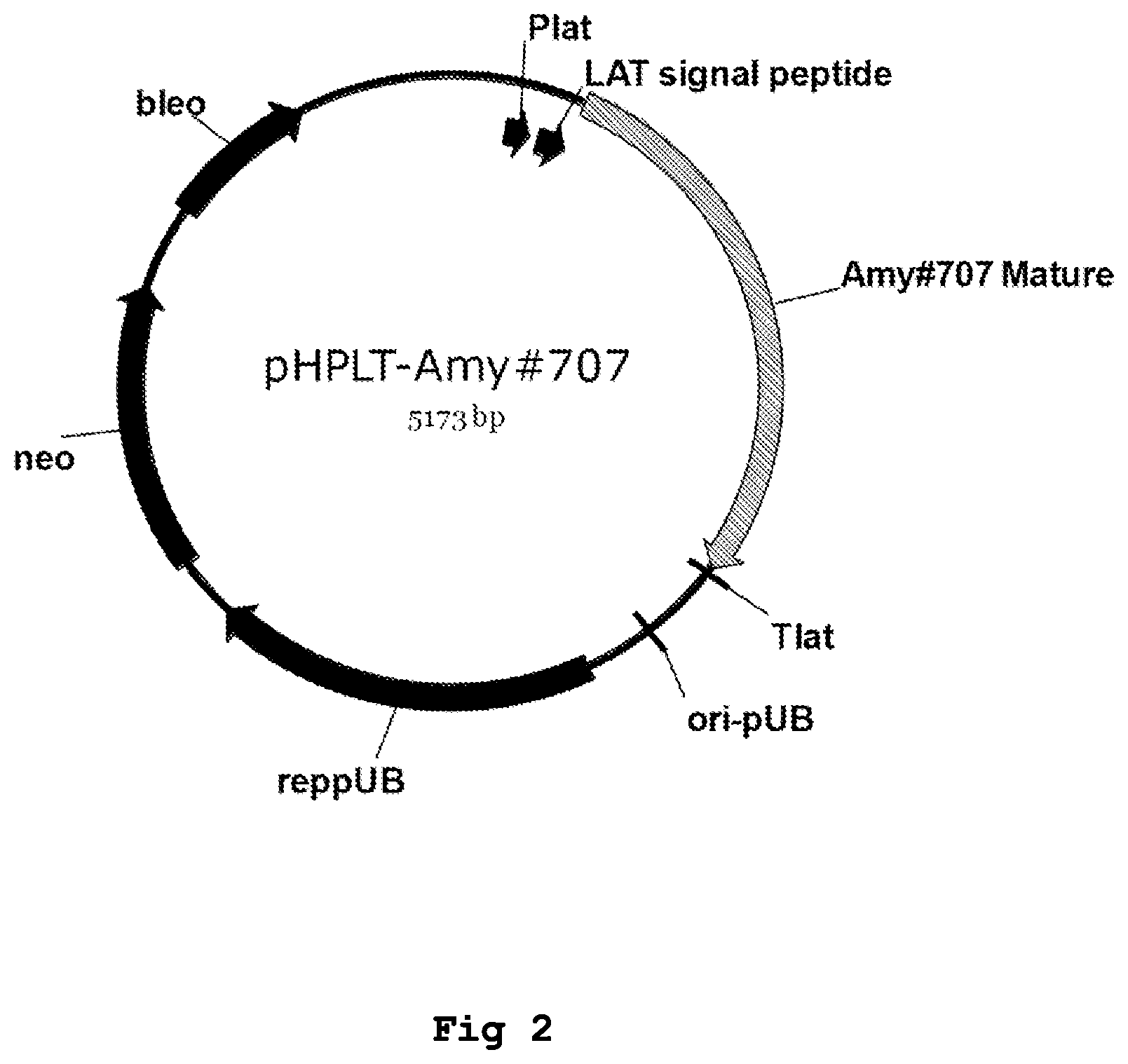 Patent US12338467 Figure 2 – Variant maltohexaose-forming α-amylase variants