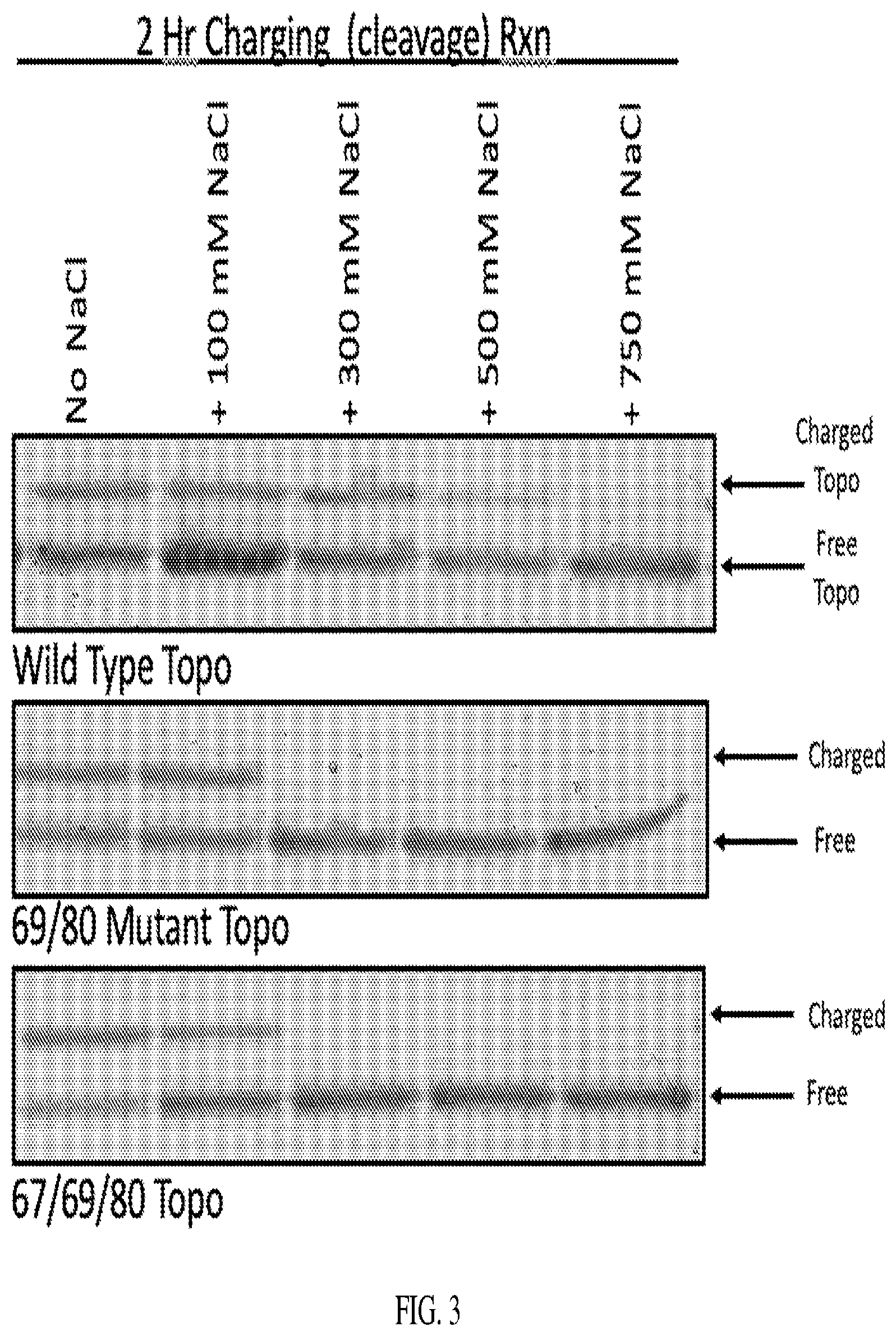 Patent US12338470 Figure 3 – Enzymes and systems for synthesizing DNA