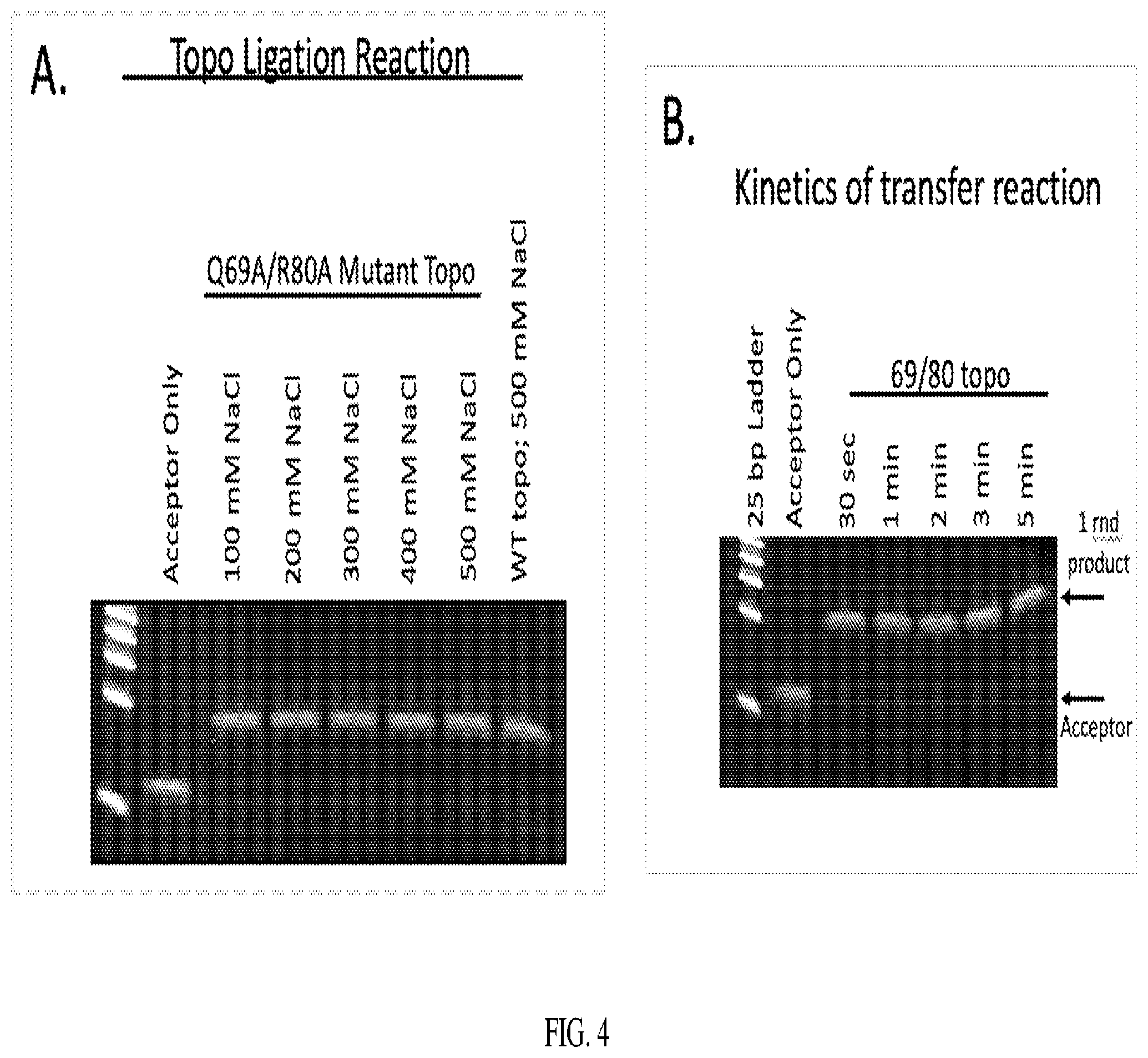 Patent US12338470 Figure 4 – Enzymes and systems for synthesizing DNA