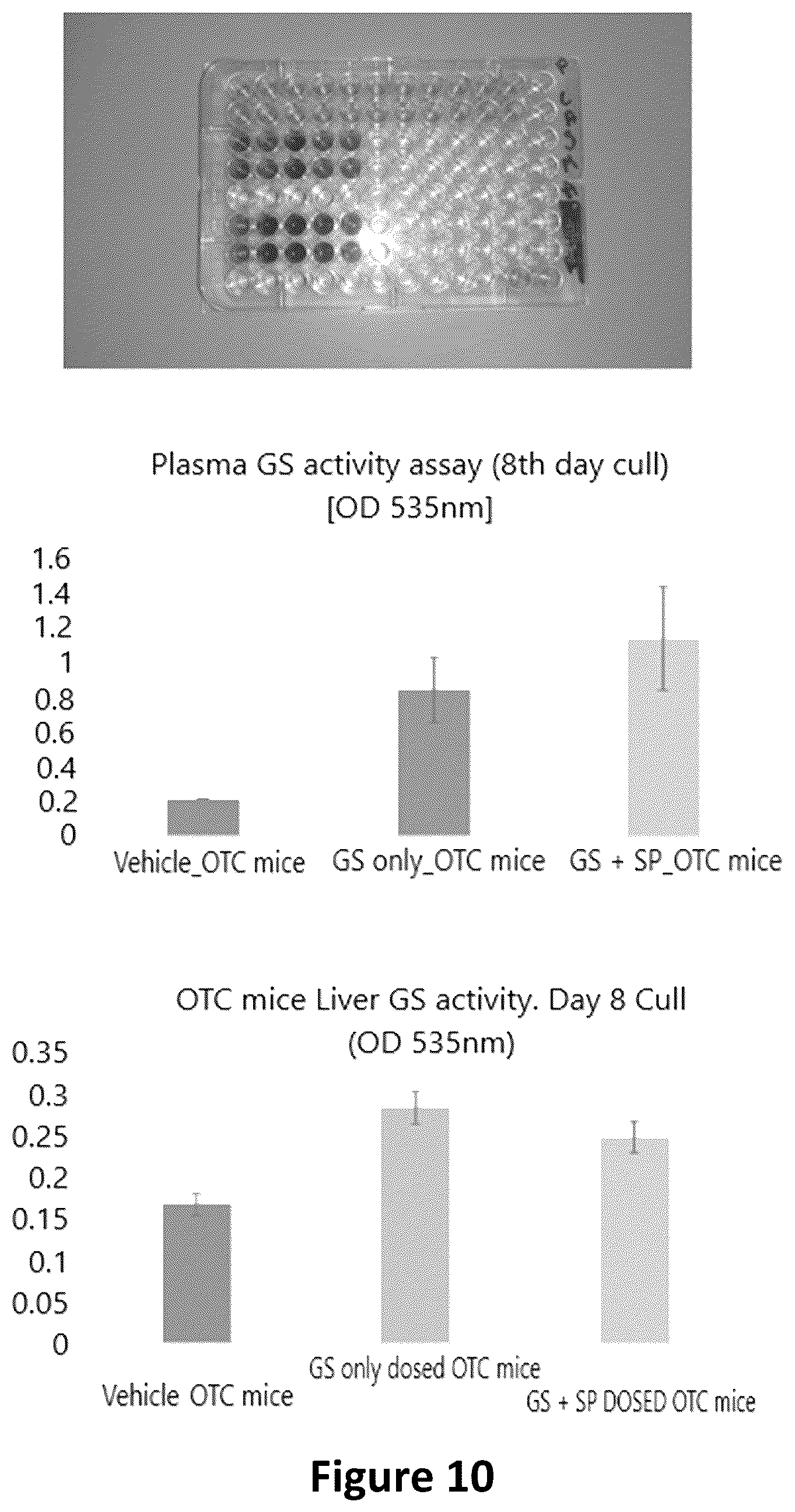 Patent US12338471 Figure 10 – Use of glutamine synthetase for treating hyperammonemia