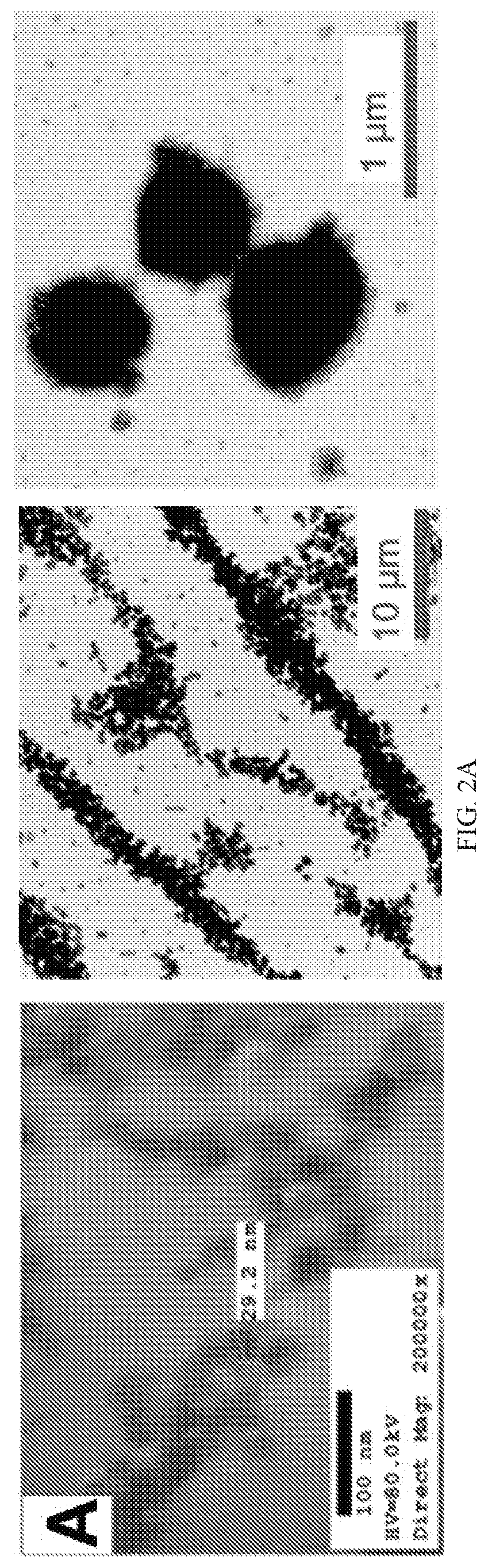 Patent US12338472 Figure 3 – Isolation of fungal melanin and uses in external radiation shielding and heat capture