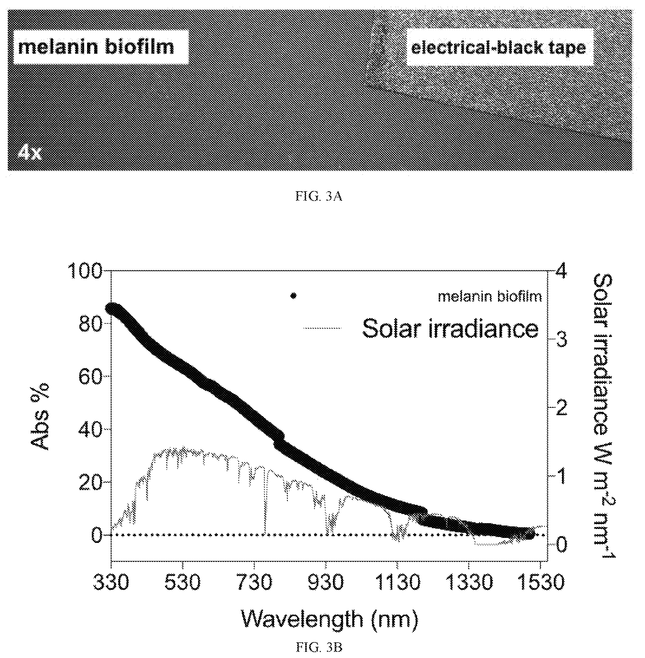 Patent US12338472 Figure 6 – Isolation of fungal melanin and uses in external radiation shielding and heat capture