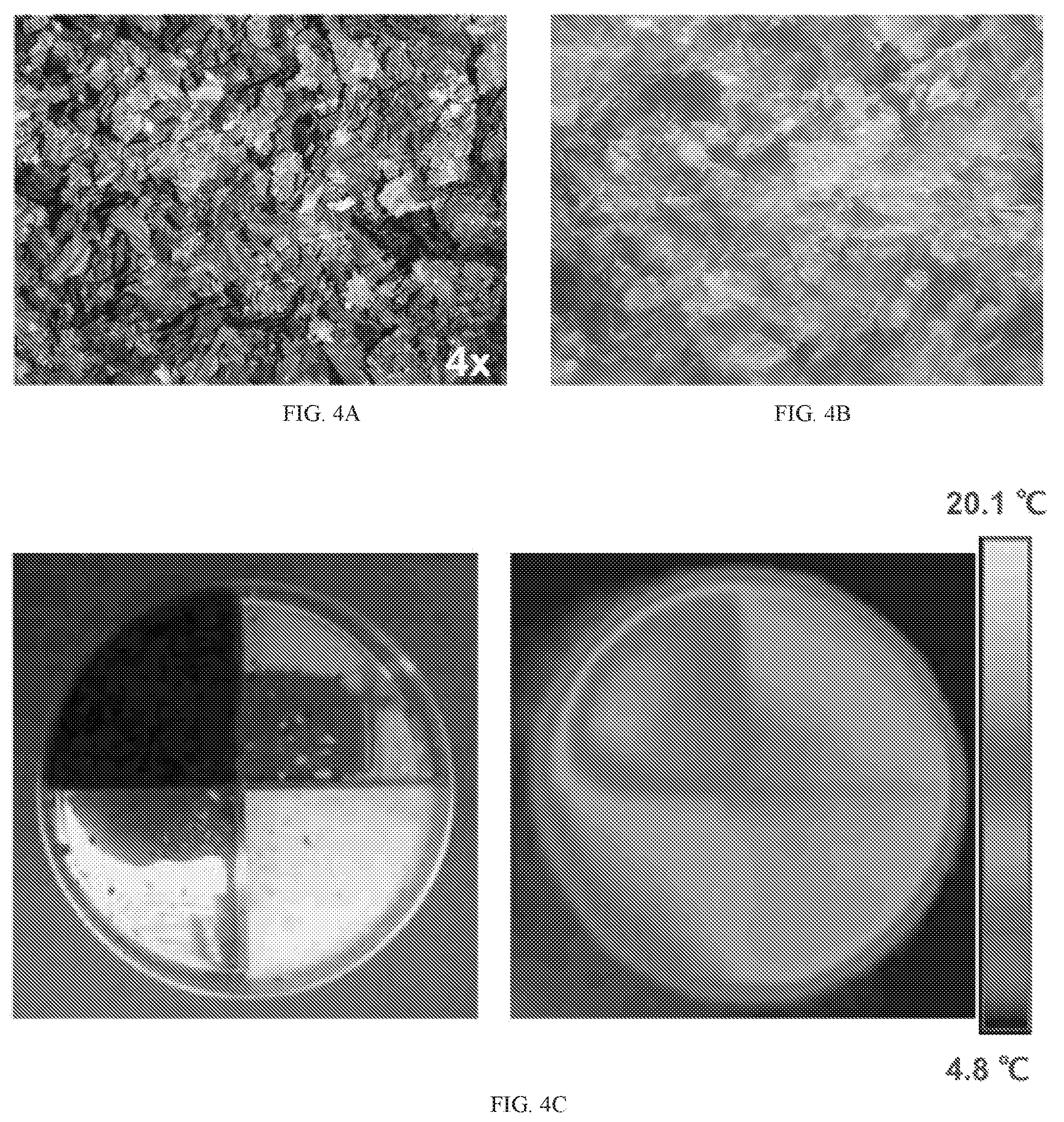 Patent US12338472 Figure 7 – Isolation of fungal melanin and uses in external radiation shielding and heat capture