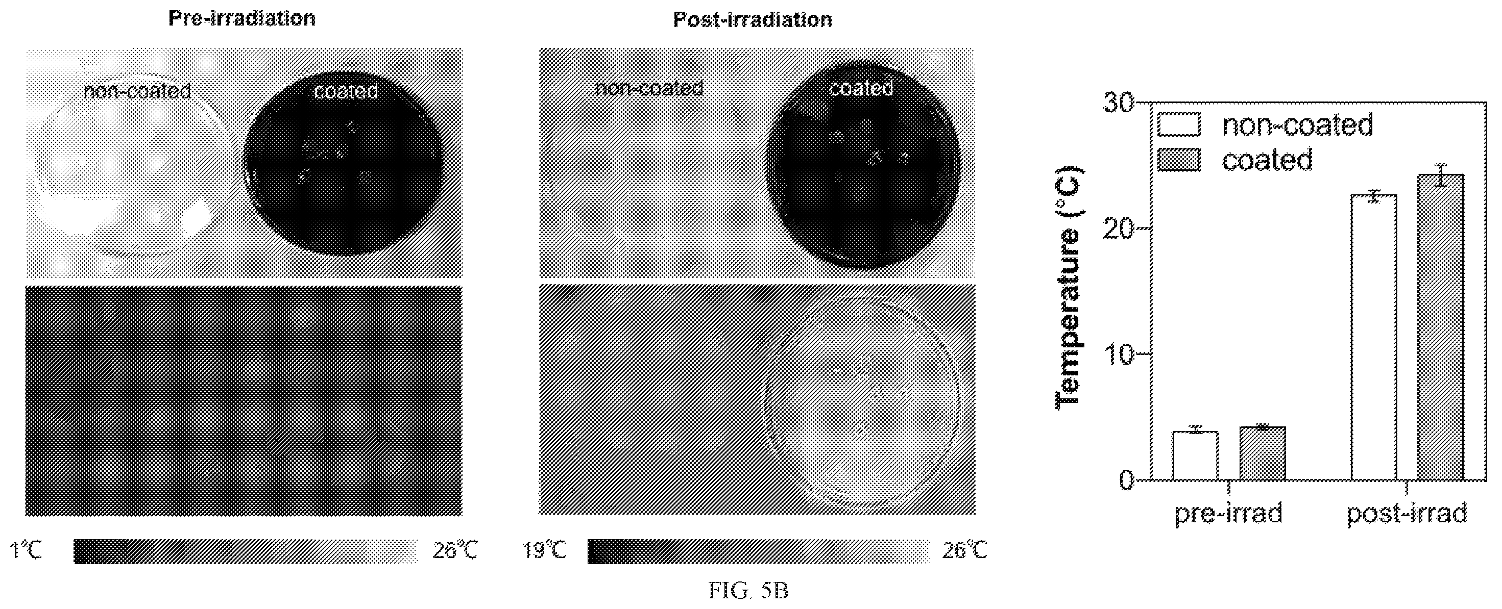 Patent US12338472 Figure 9 – Isolation of fungal melanin and uses in external radiation shielding and heat capture