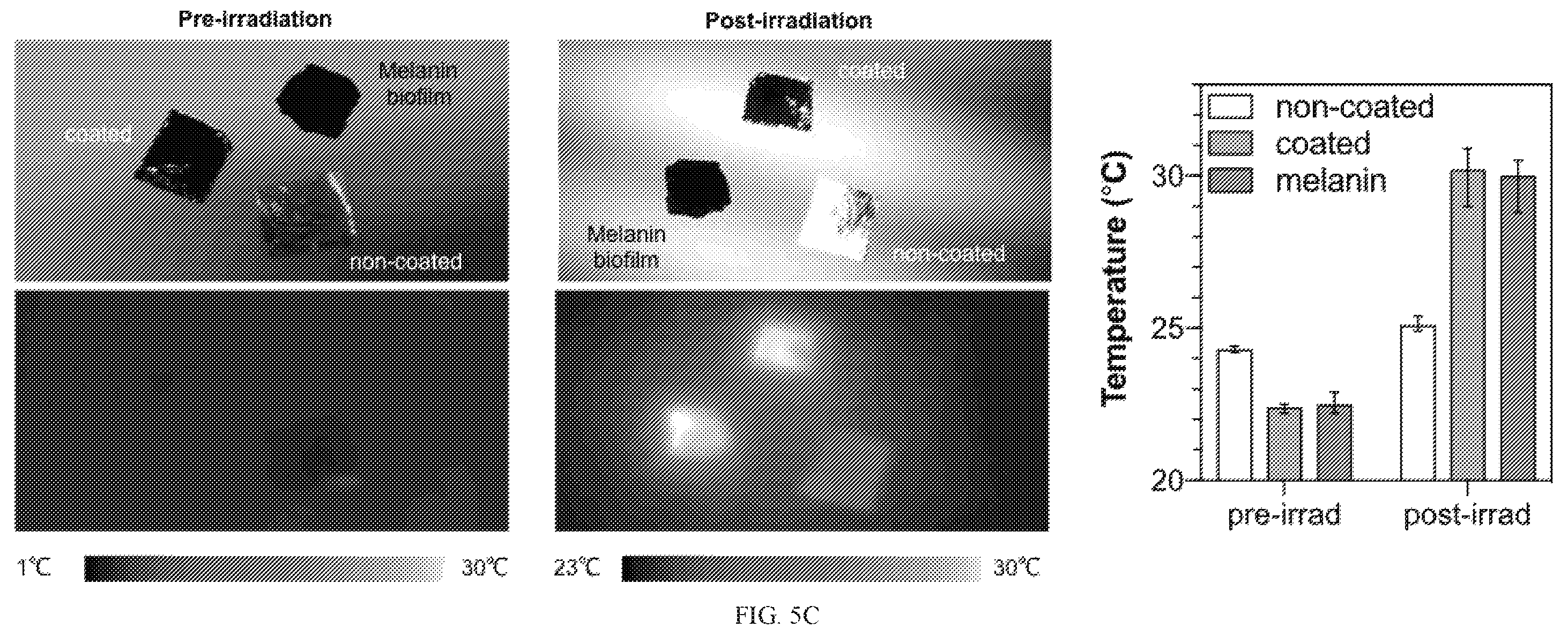 Patent US12338472 Figure 10 – Isolation of fungal melanin and uses in external radiation shielding and heat capture