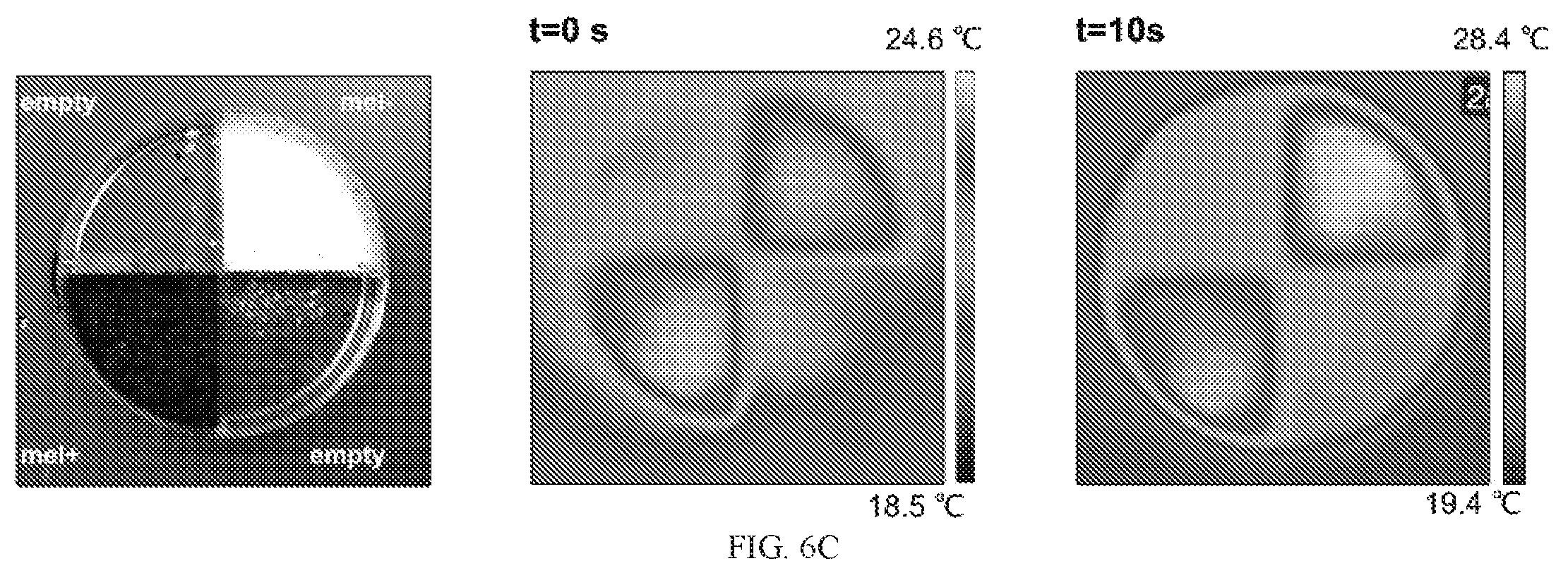 Patent US12338472 Figure 12 – Isolation of fungal melanin and uses in external radiation shielding and heat capture