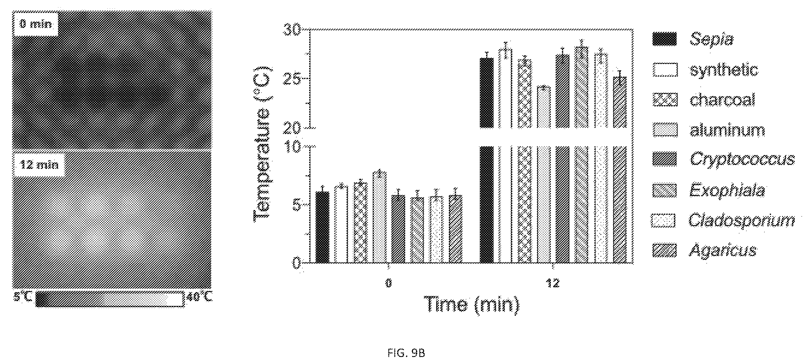 Patent US12338472 Figure 19 – Isolation of fungal melanin and uses in external radiation shielding and heat capture