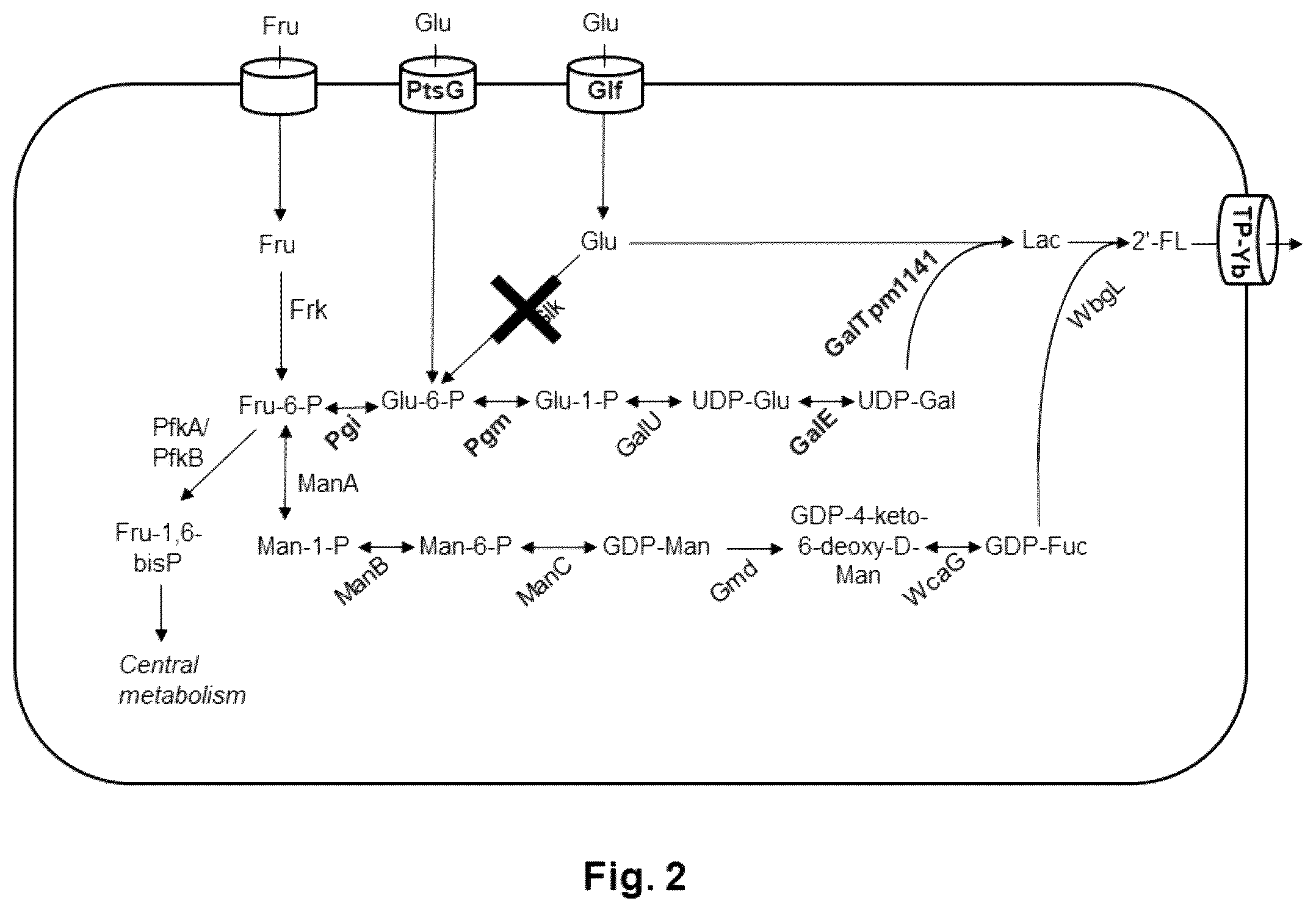 Patent US12338473 Figure 2 – Fermentative production of oligosaccharides by total fermentation utilizing a mixed feedstock