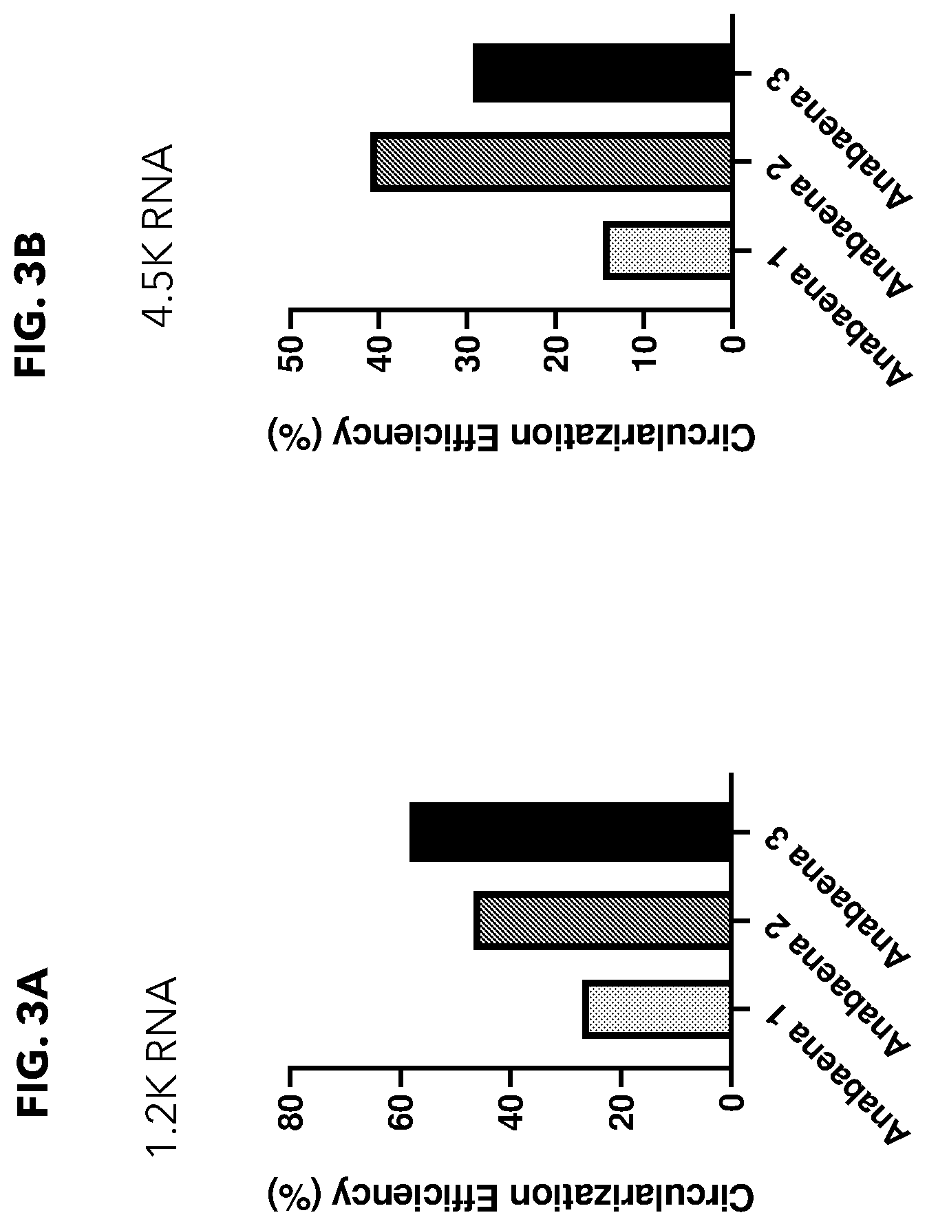 Patent US12338474 Figure 3 – Compositions and methods for producing circular polyribonucleotides