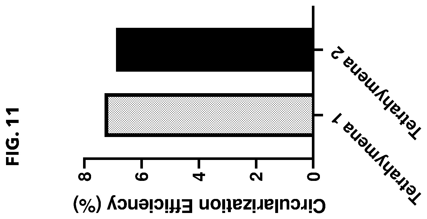 Patent US12338474 Figure 11 – Compositions and methods for producing circular polyribonucleotides