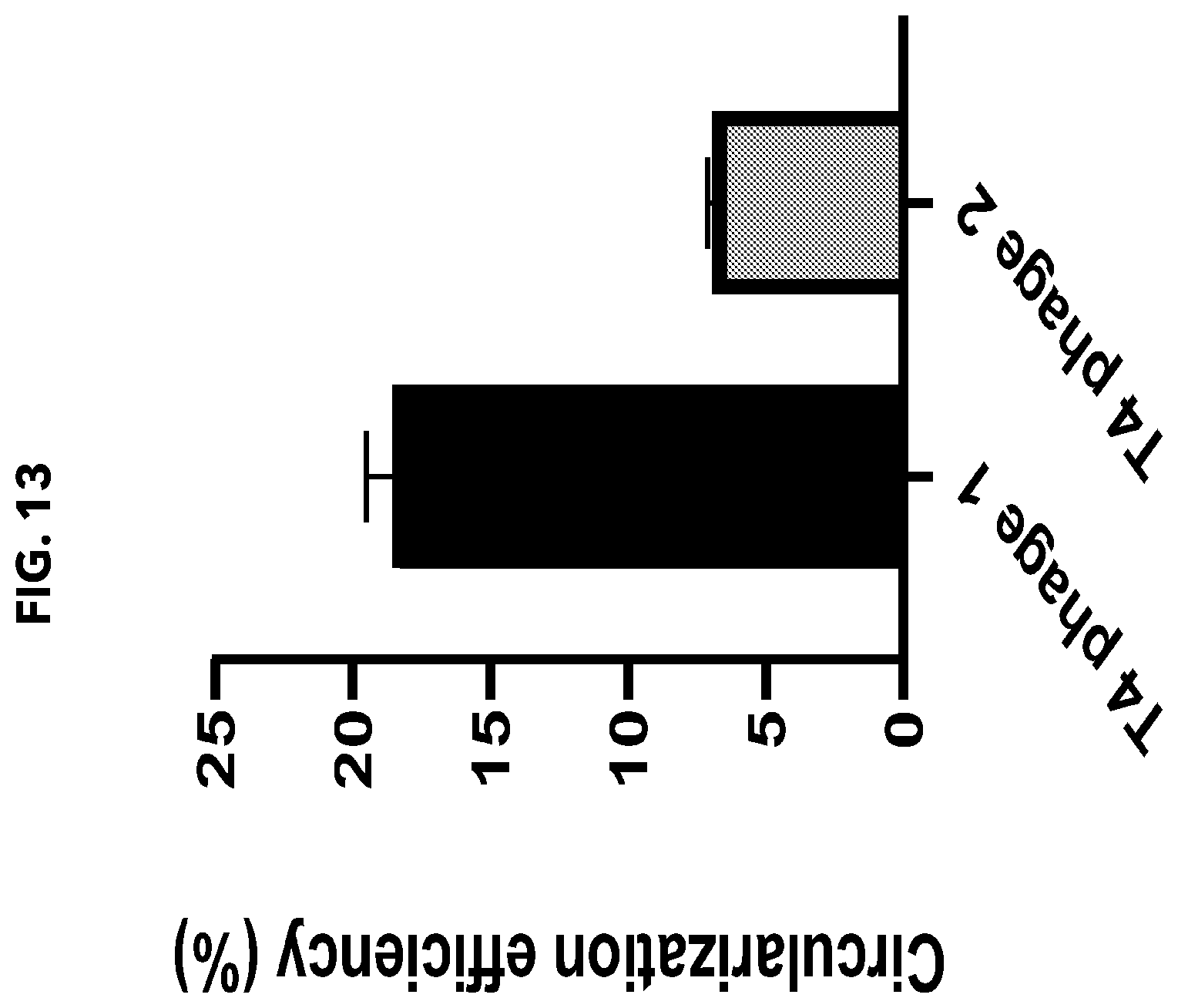 Patent US12338474 Figure 13 – Compositions and methods for producing circular polyribonucleotides