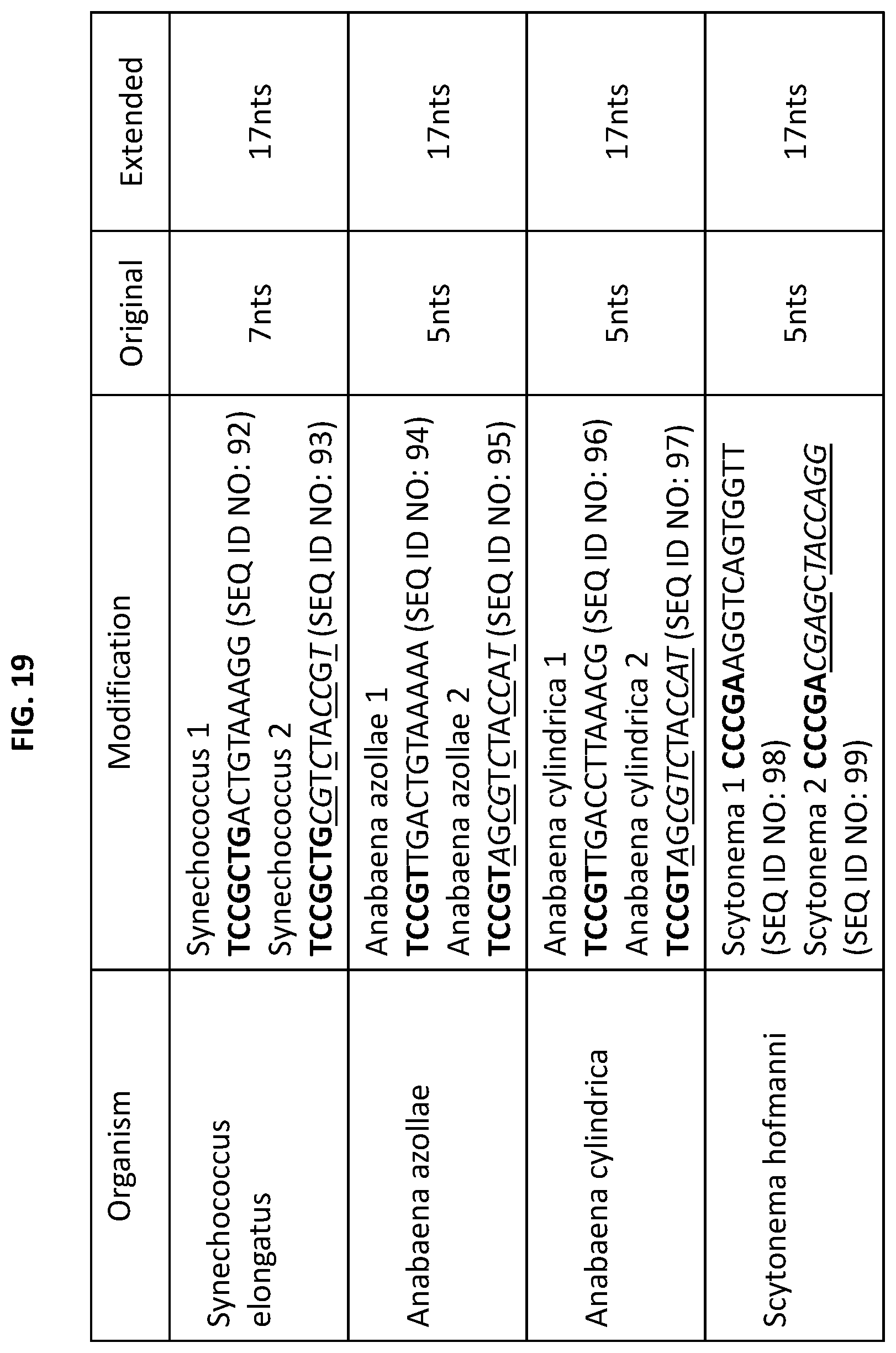 Patent US12338474 Figure 19 – Compositions and methods for producing circular polyribonucleotides