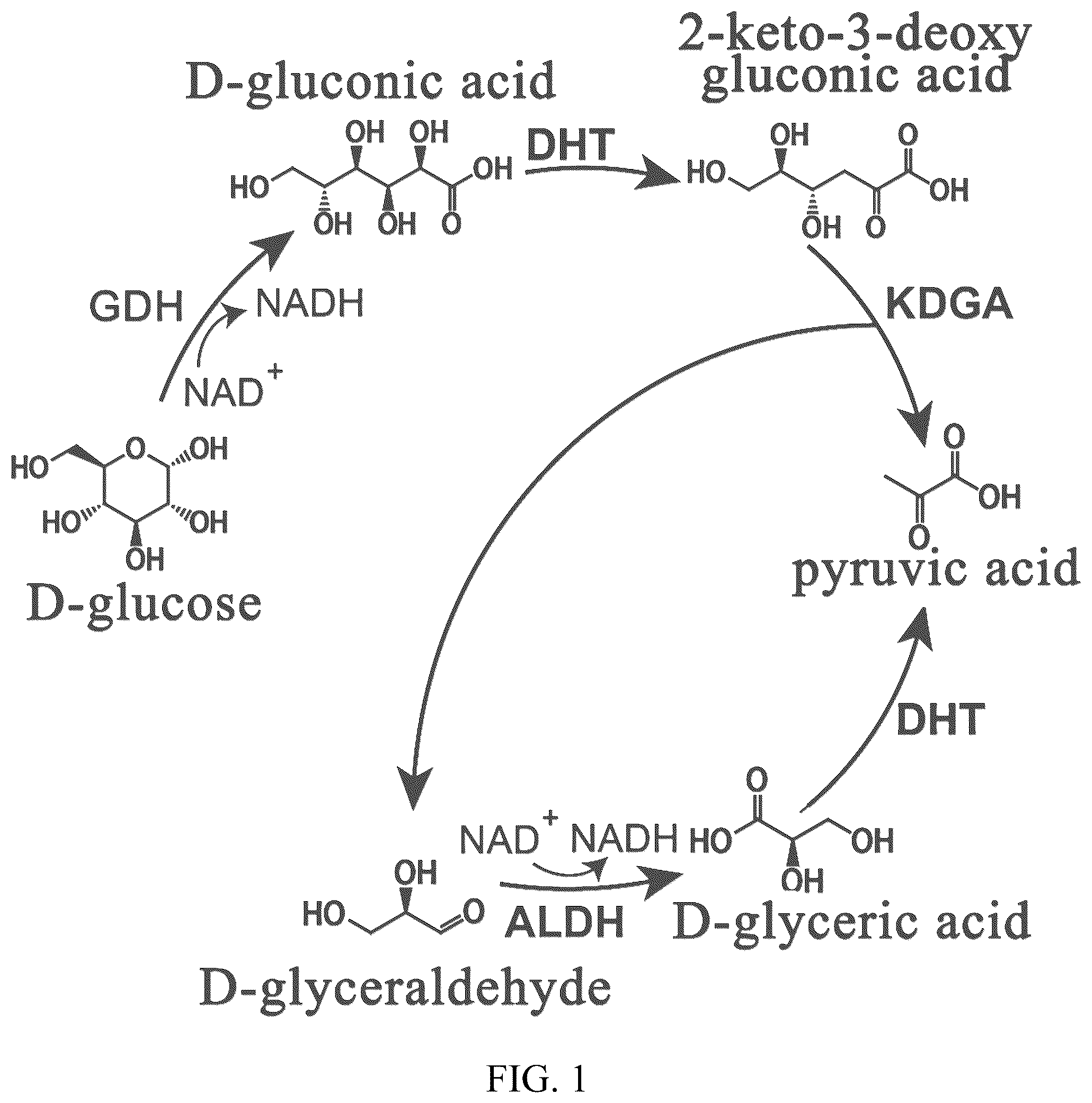 Patent US12338479 Figure 1 – Alditol oxidase and application thereof