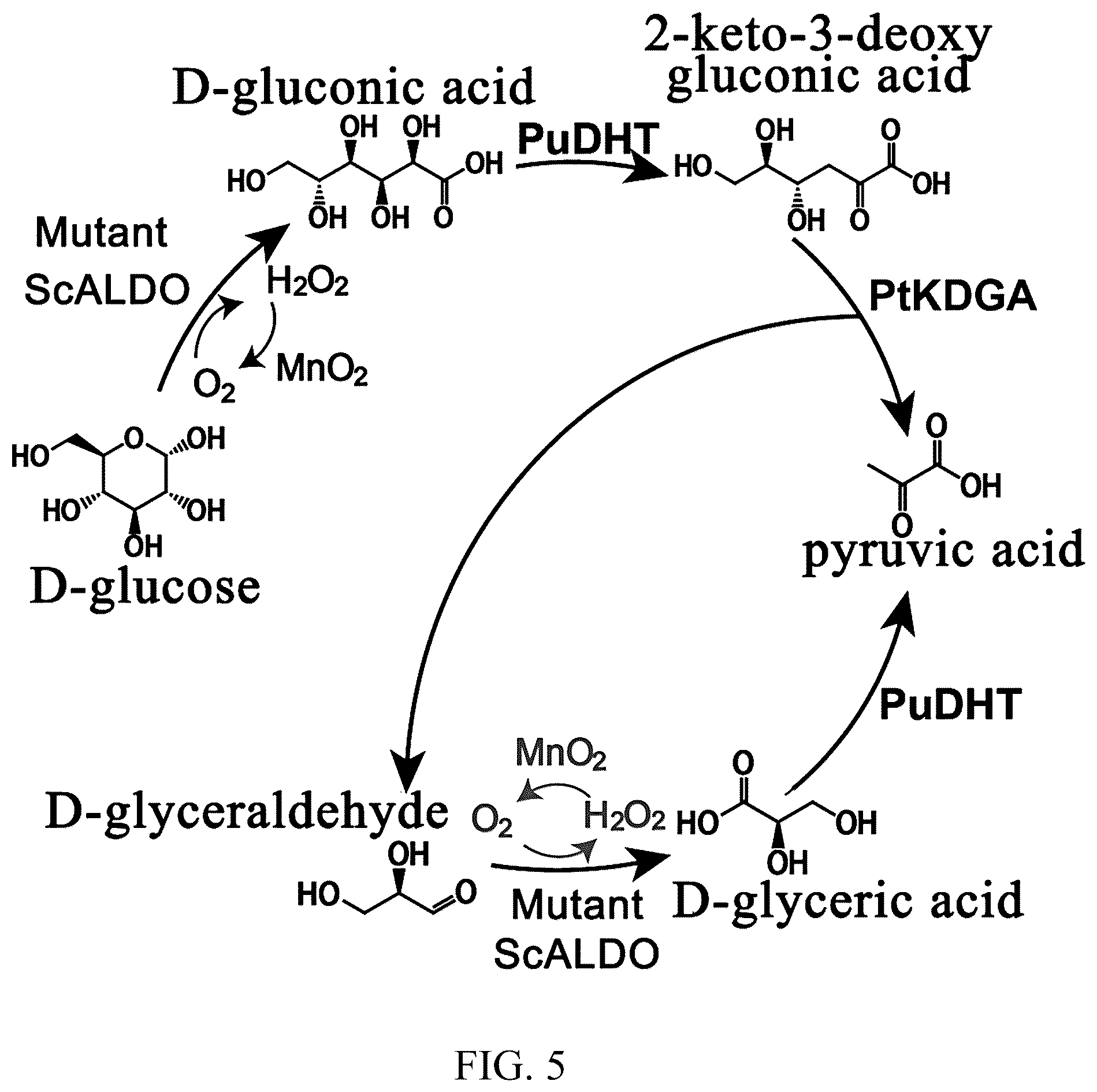 Patent US12338479 Figure 5 – Alditol oxidase and application thereof