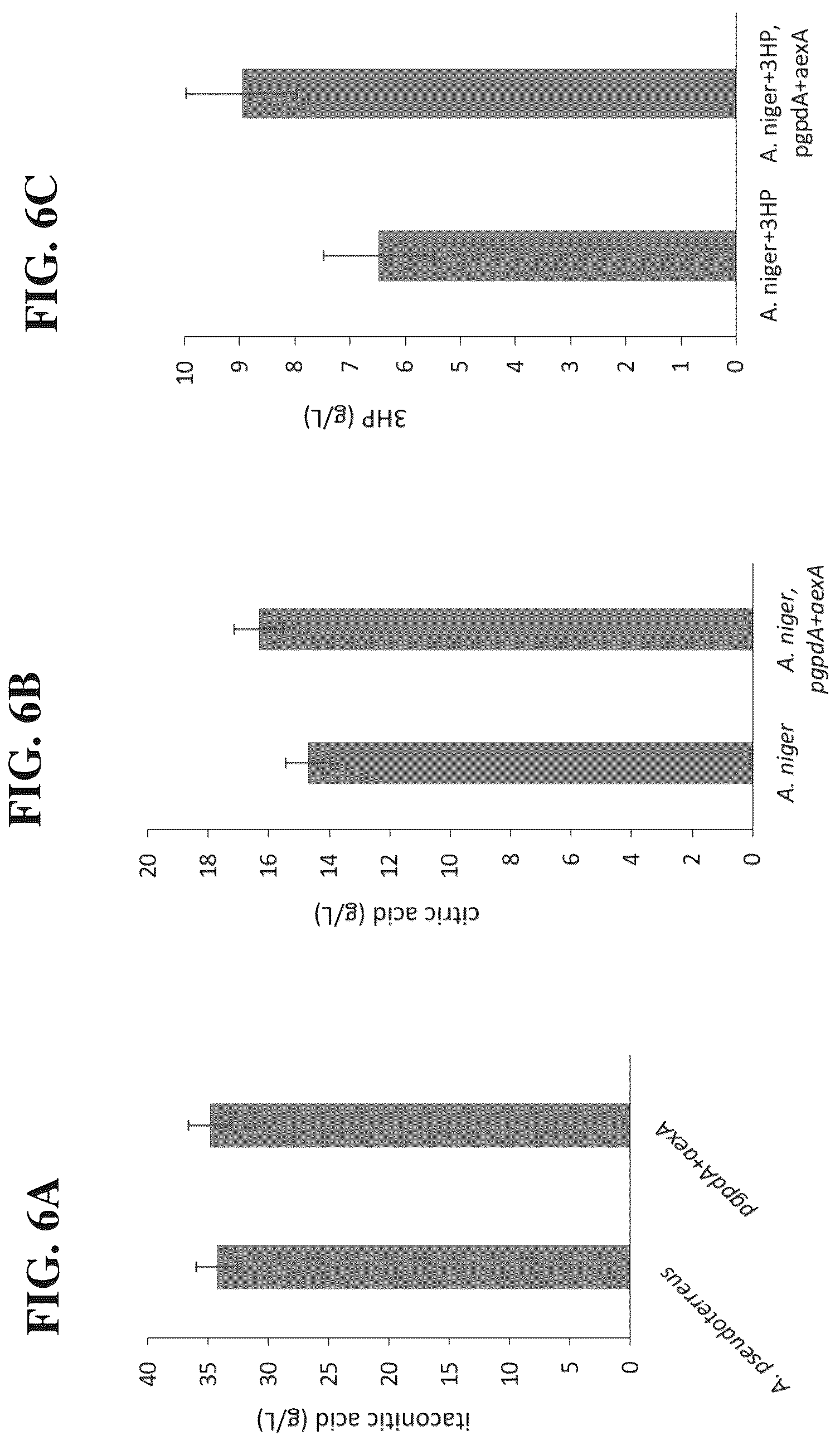 Patent US12338480 Figure 6 – Aconitic acid exporter (aexA) increases organic acid production in aspergillus