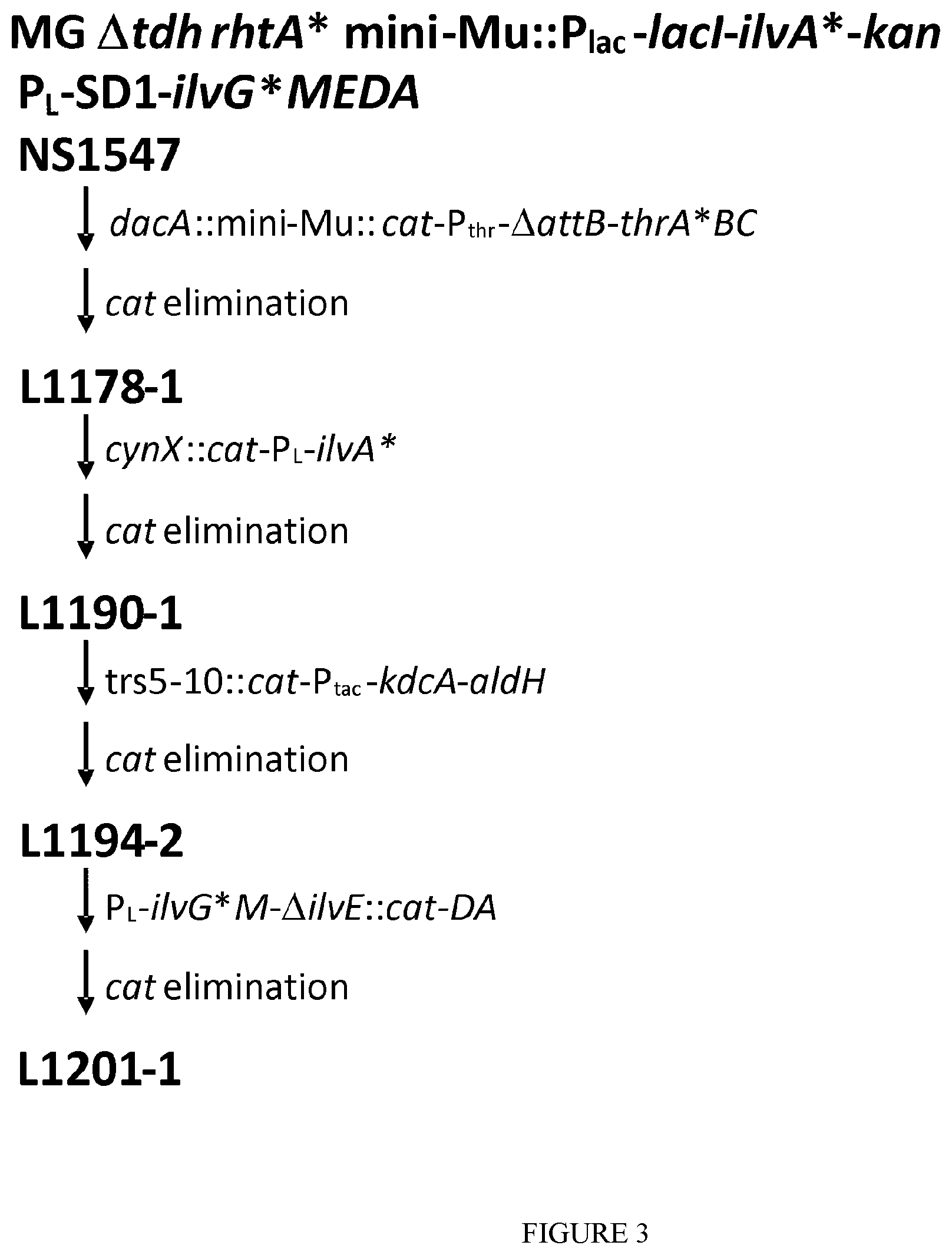 Patent US12338481 Figure 3 – Method for producing 2-methyl-butyric acid by bacterial fermentation