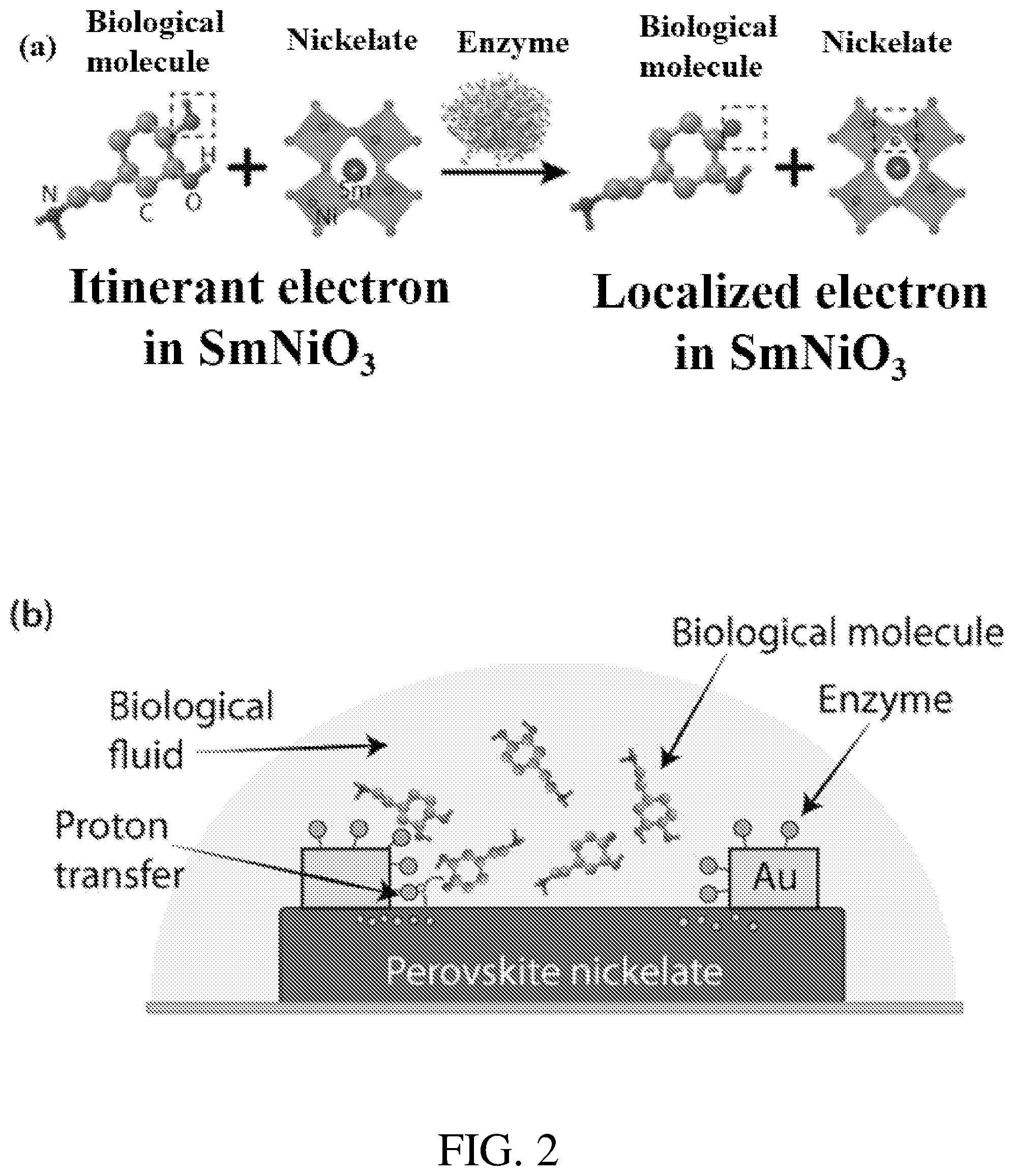 Patent US12338482 Figure 2 – Ultralow concentration sensing of bio-matter with perovskite nickelate devices and arrays