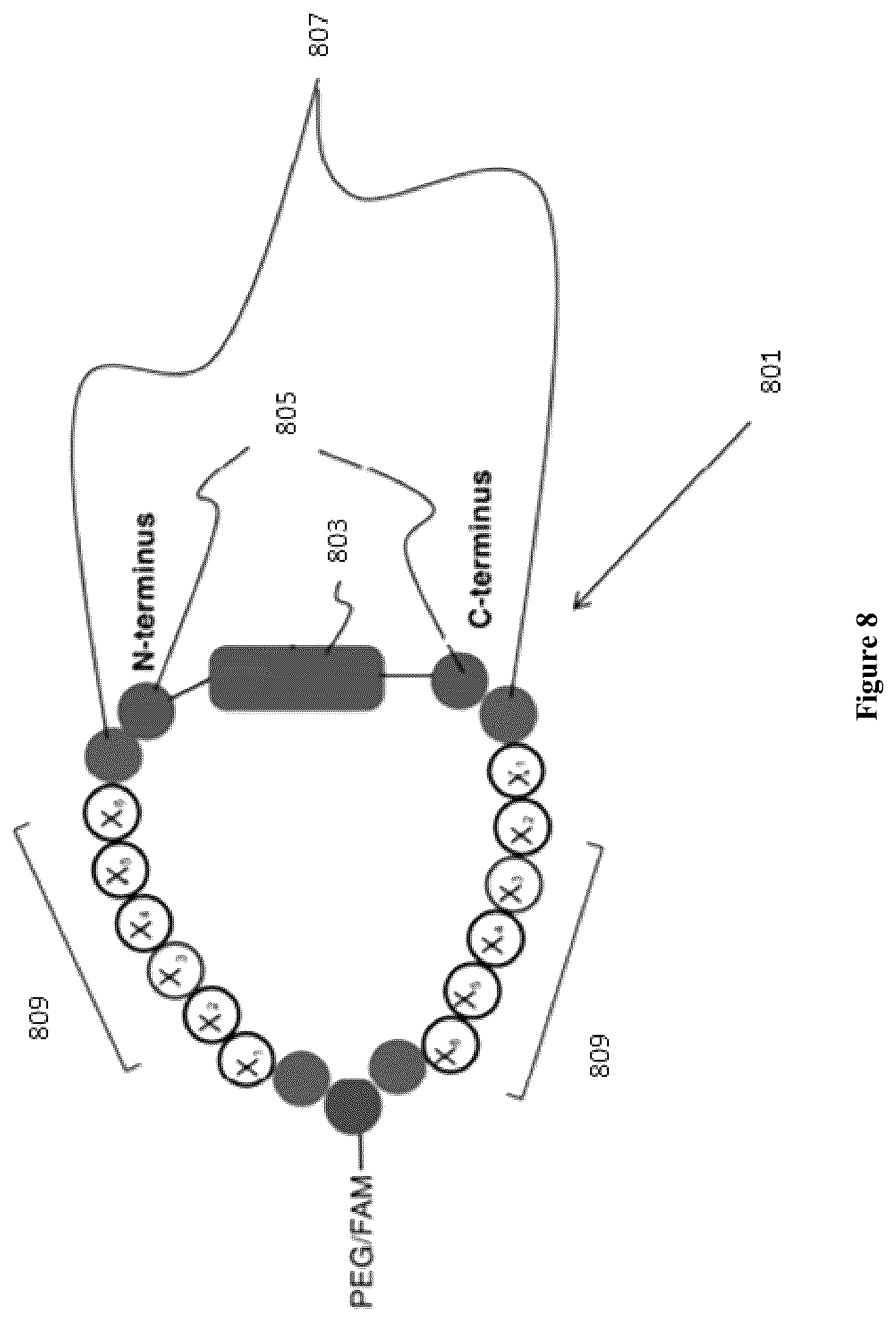 Patent US12338483 Figure 8 – Compositions and methods for logic-gated profiling of biologic activity