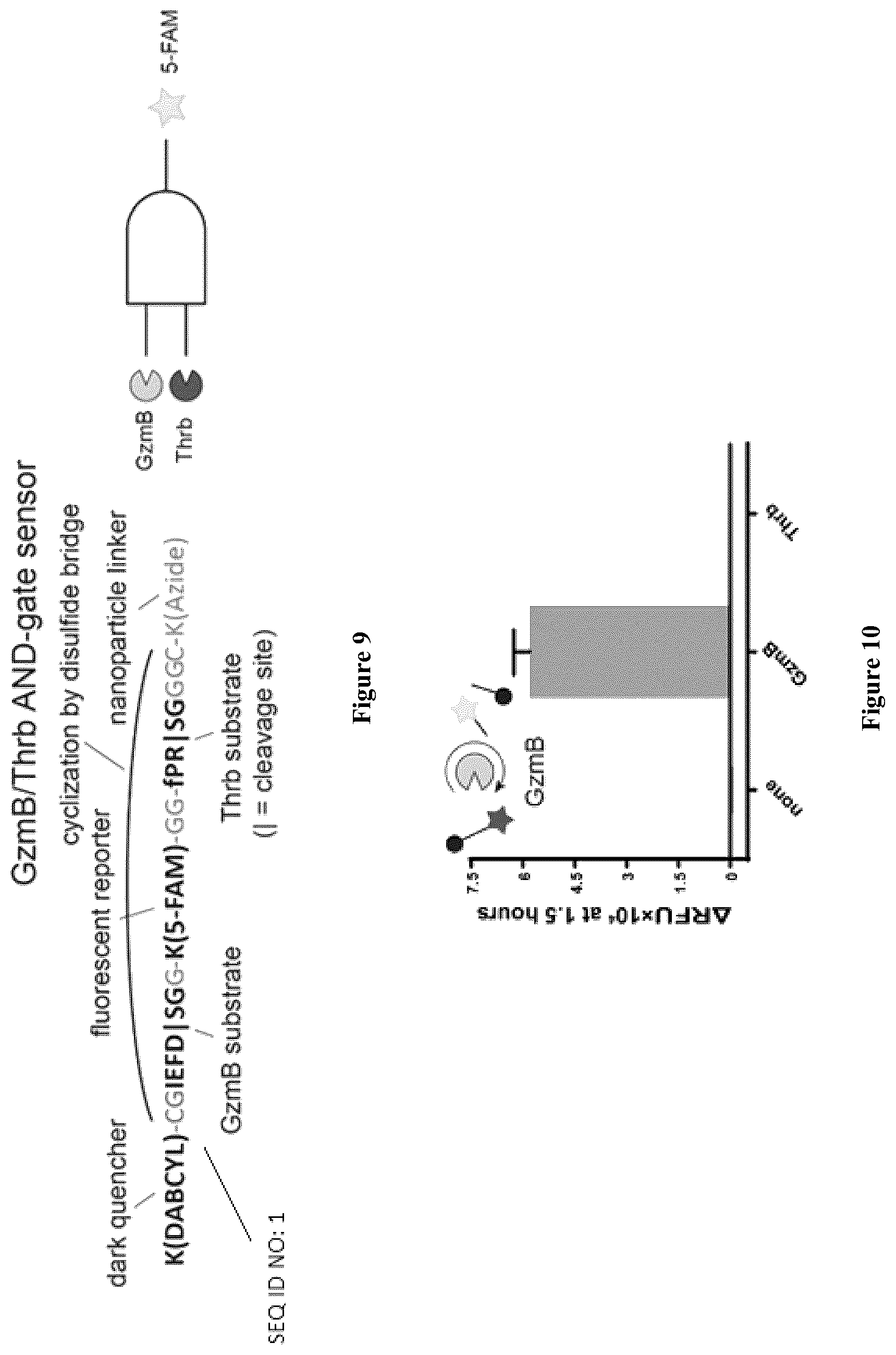 Patent US12338483 Figure 9 – Compositions and methods for logic-gated profiling of biologic activity