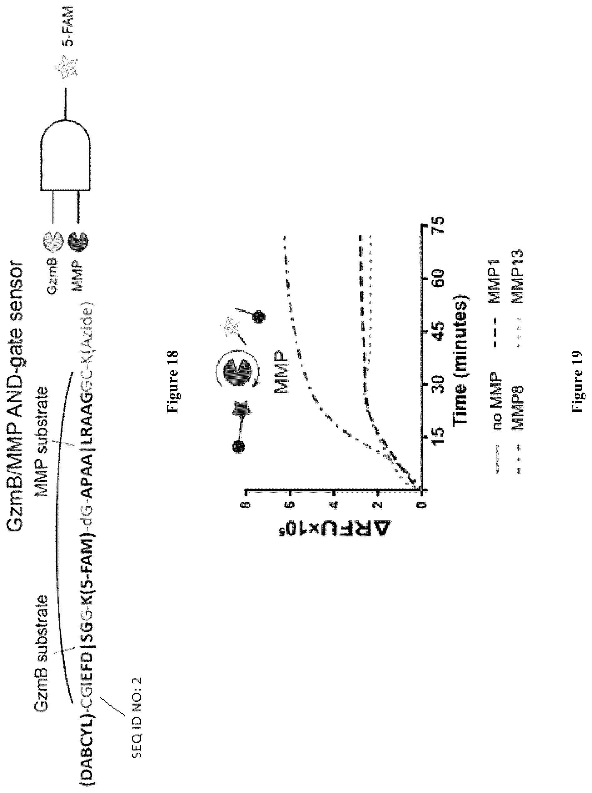 Patent US12338483 Figure 14 – Compositions and methods for logic-gated profiling of biologic activity
