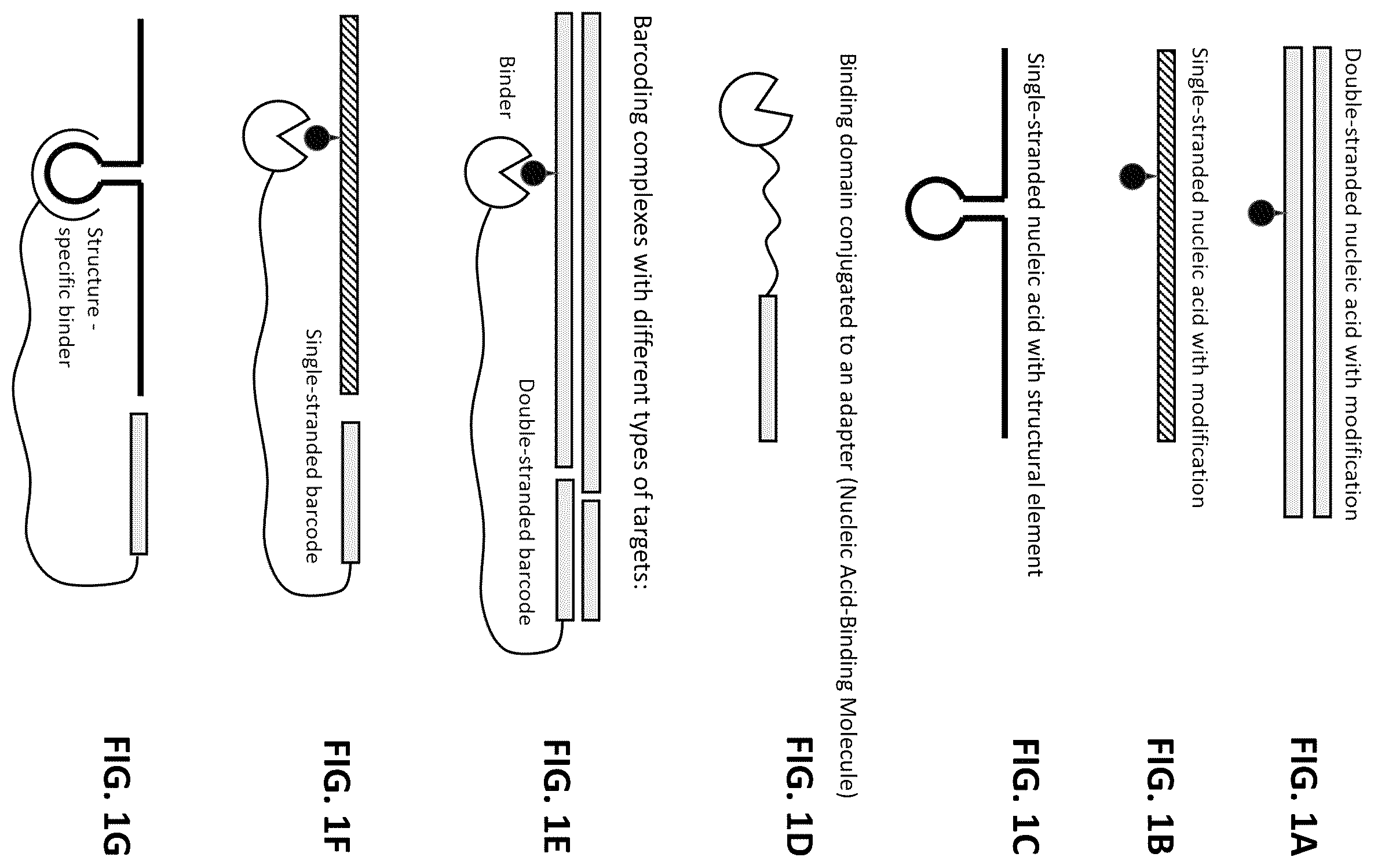 Patent US12338485 Figure 1 – Multiplexed profiling of RNA and DNA modifications