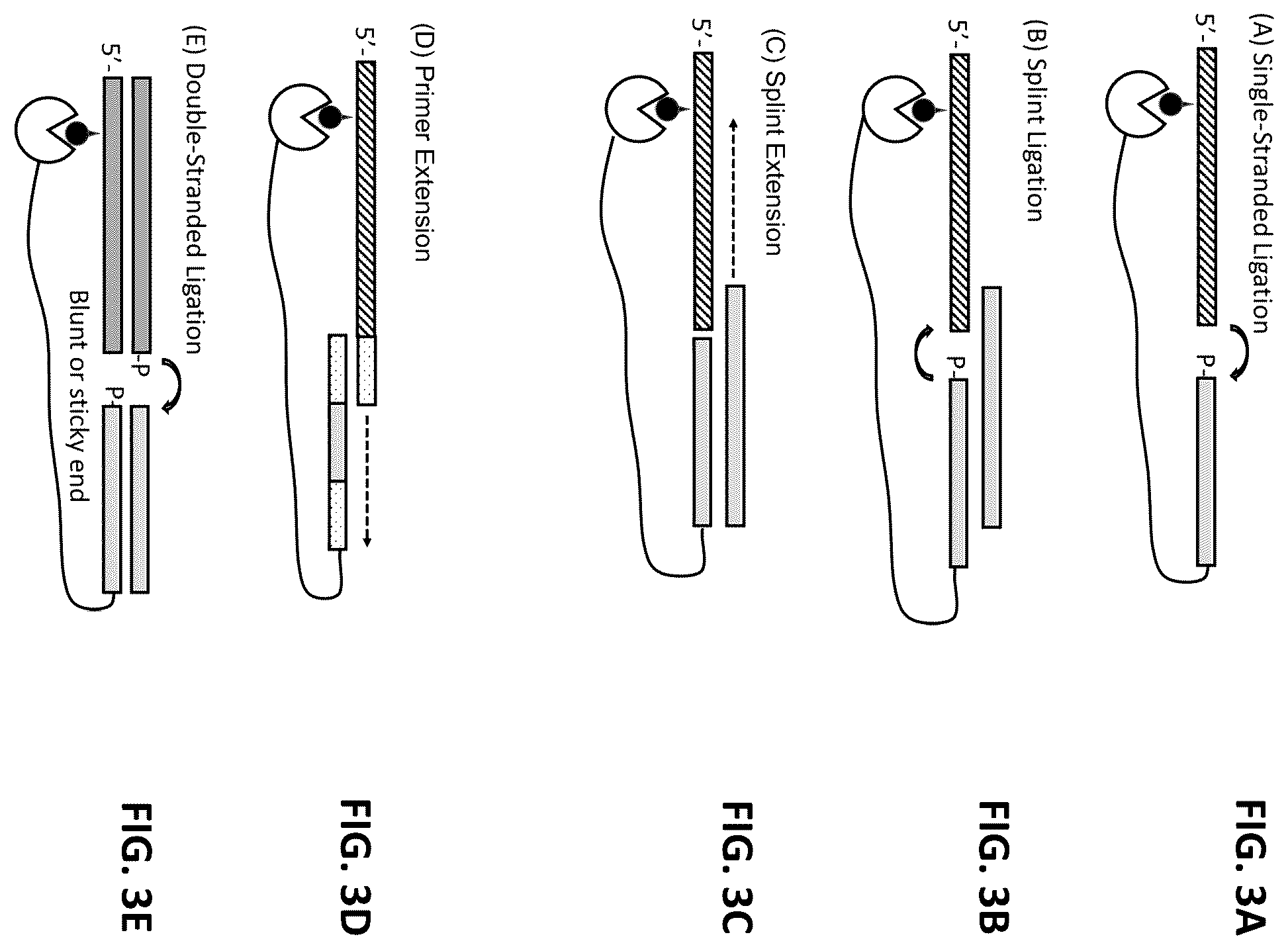 Patent US12338485 Figure 3 – Multiplexed profiling of RNA and DNA modifications