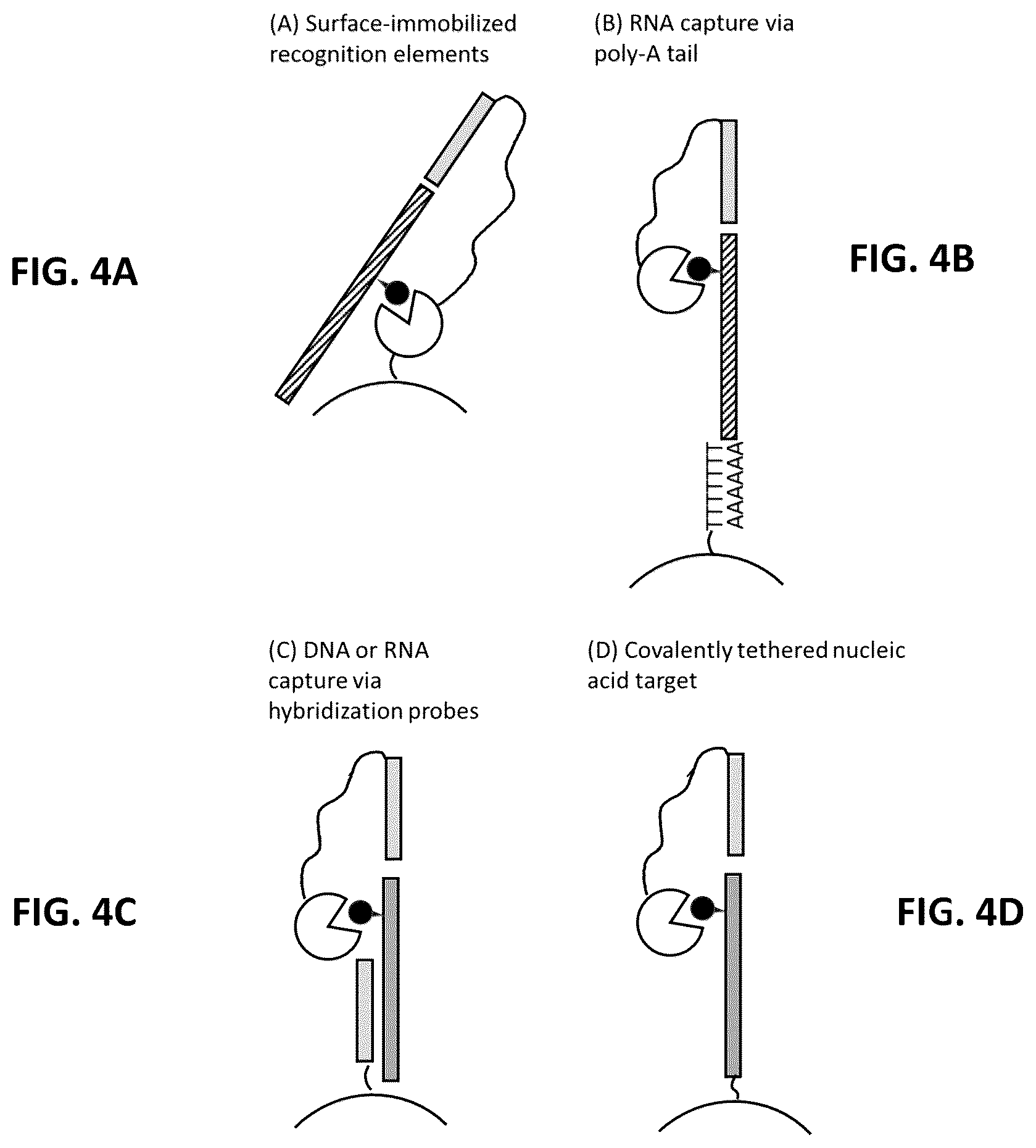Patent US12338485 Figure 4 – Multiplexed profiling of RNA and DNA modifications
