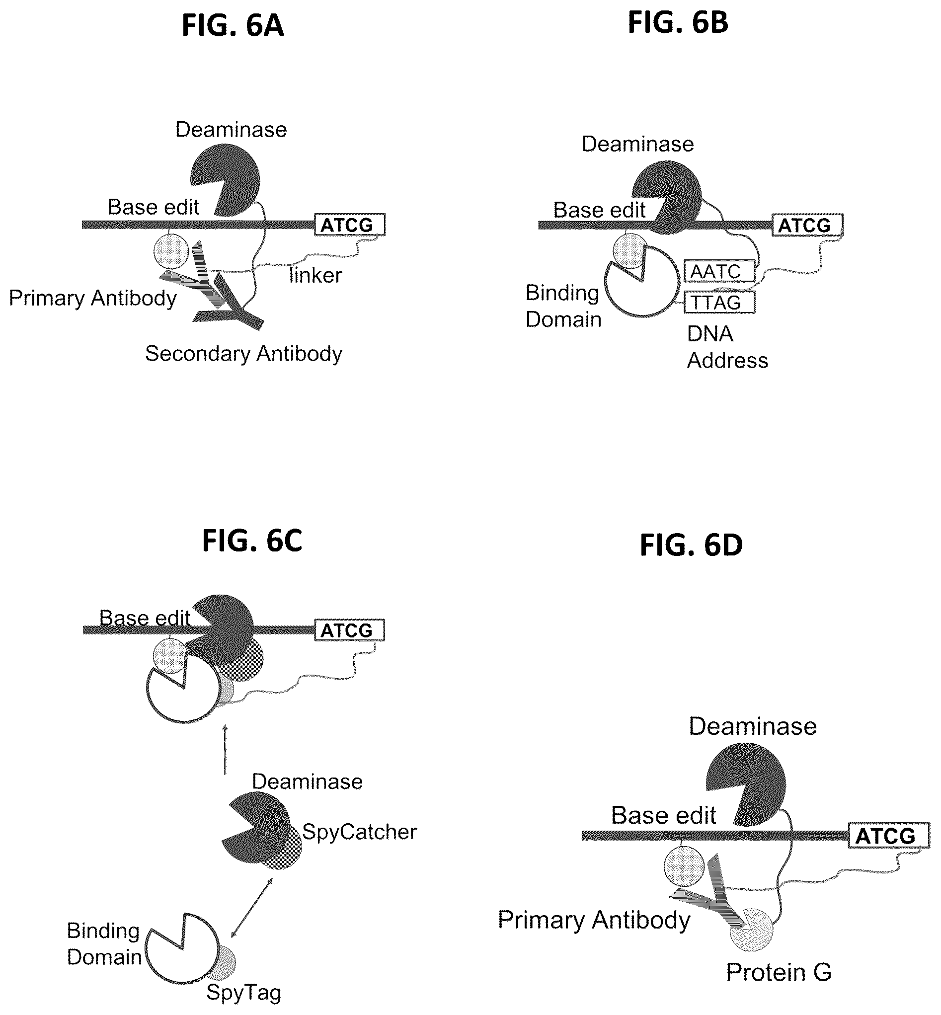 Patent US12338485 Figure 6 – Multiplexed profiling of RNA and DNA modifications