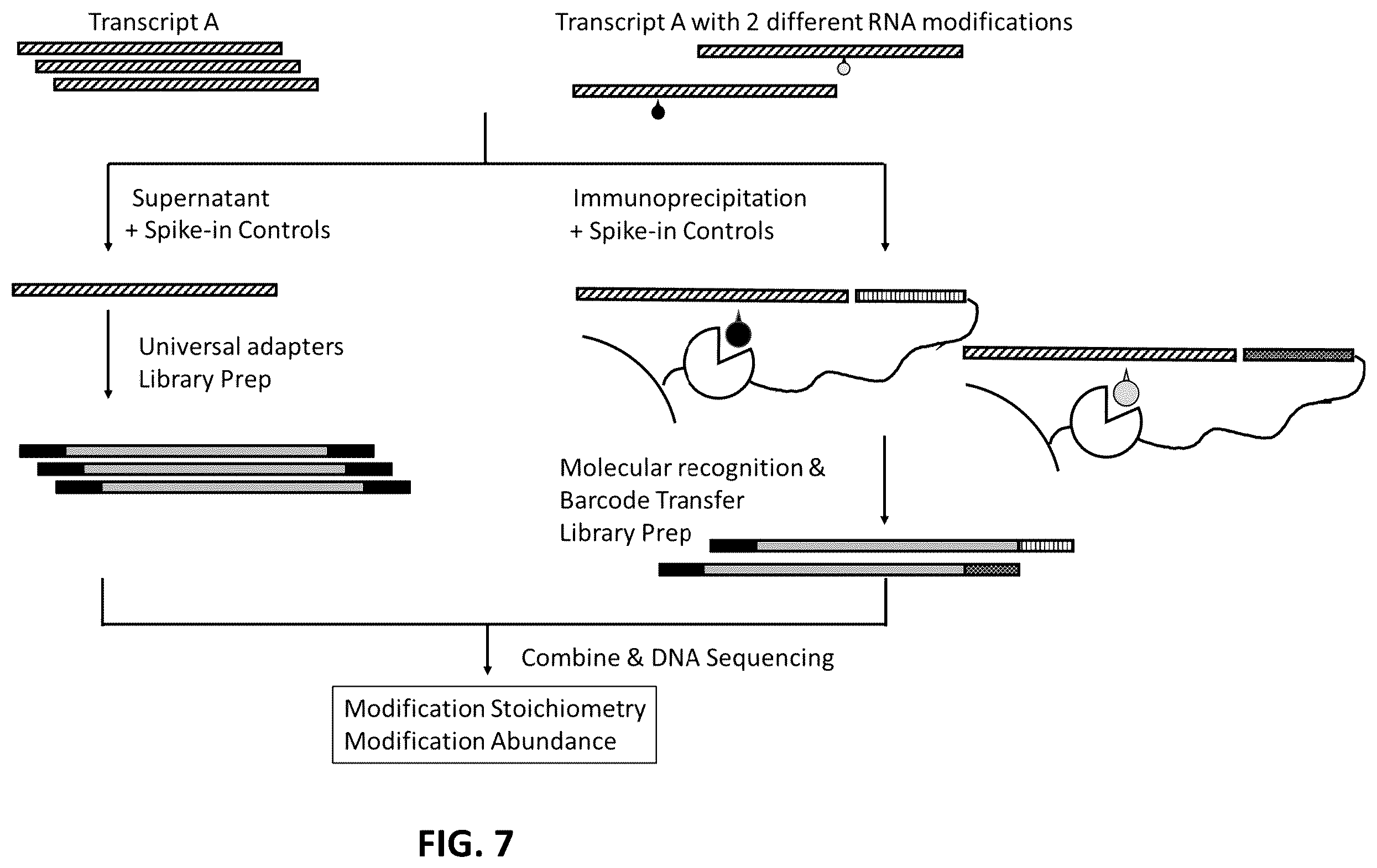 Patent US12338485 Figure 7 – Multiplexed profiling of RNA and DNA modifications