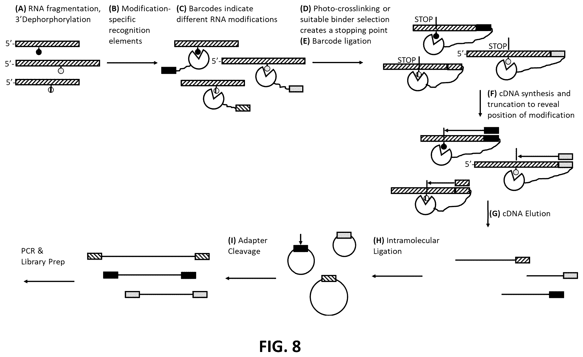 Patent US12338485 Figure 8 – Multiplexed profiling of RNA and DNA modifications