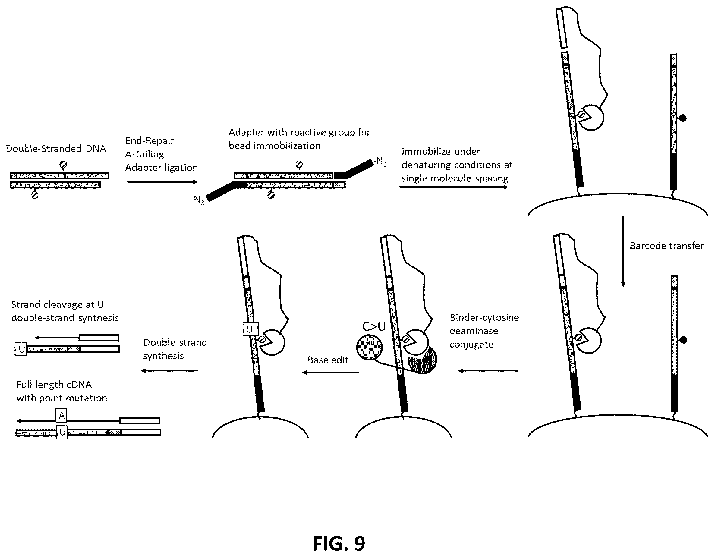 Patent US12338485 Figure 9 – Multiplexed profiling of RNA and DNA modifications