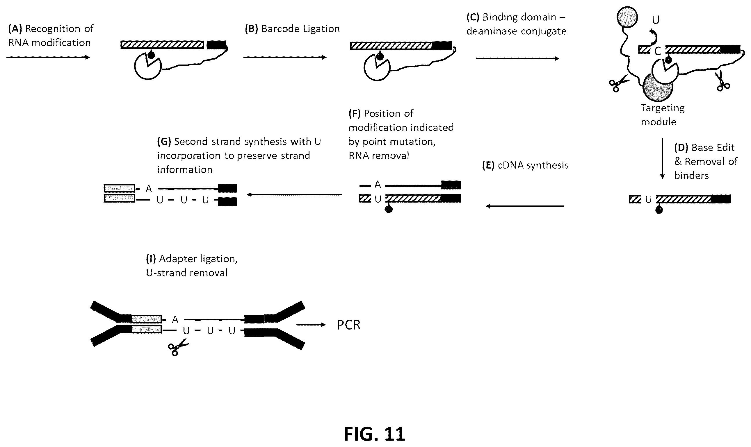 Patent US12338485 Figure 11 – Multiplexed profiling of RNA and DNA modifications