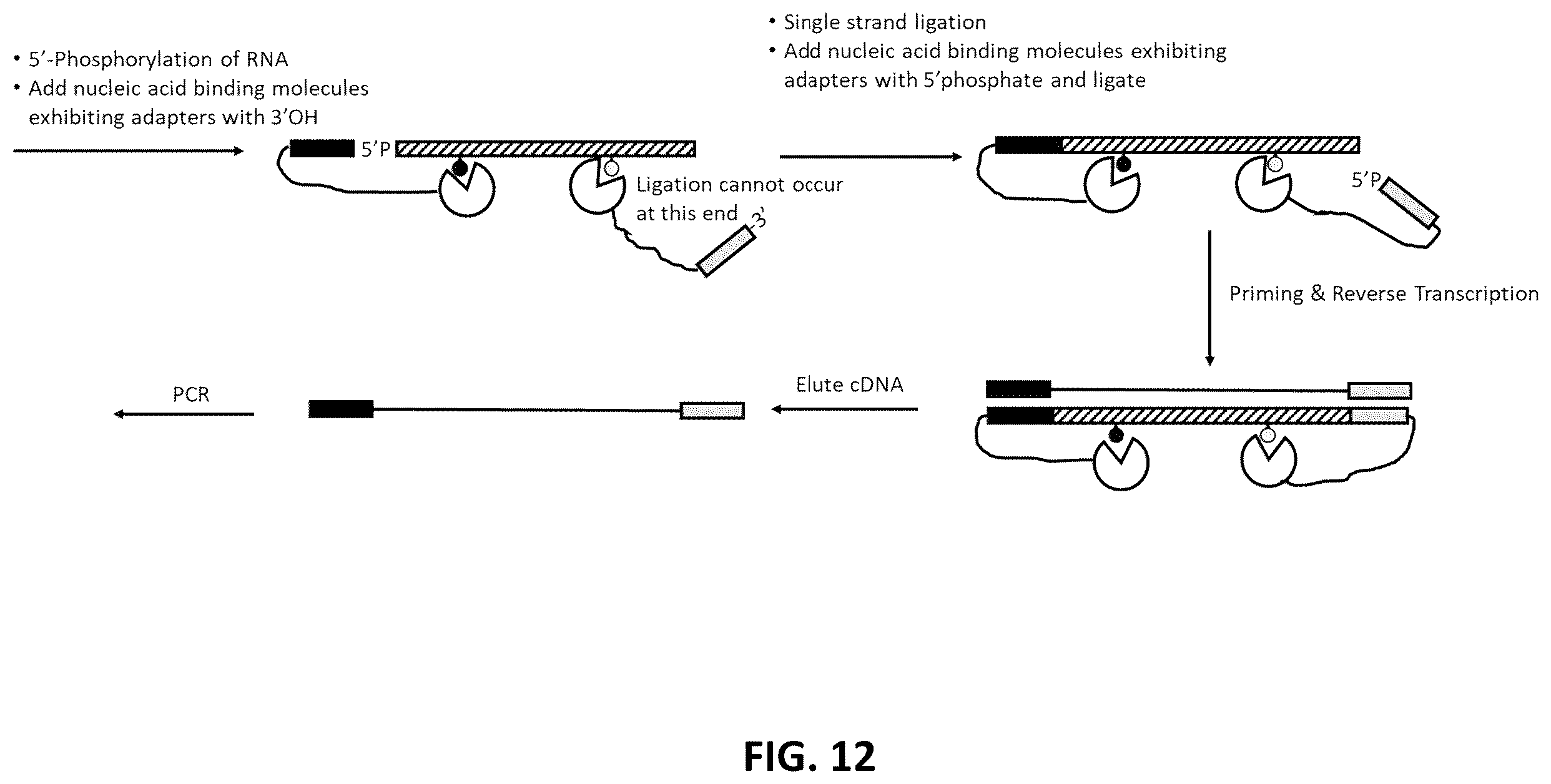 Patent US12338485 Figure 12 – Multiplexed profiling of RNA and DNA modifications