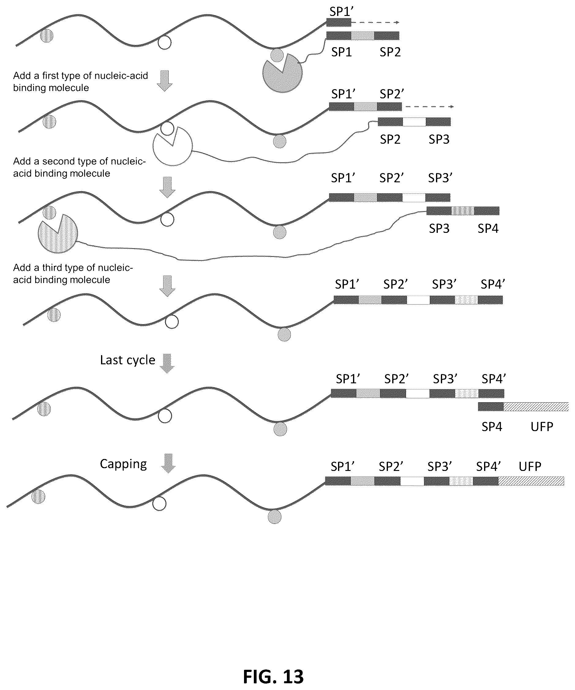 Patent US12338485 Figure 13 – Multiplexed profiling of RNA and DNA modifications