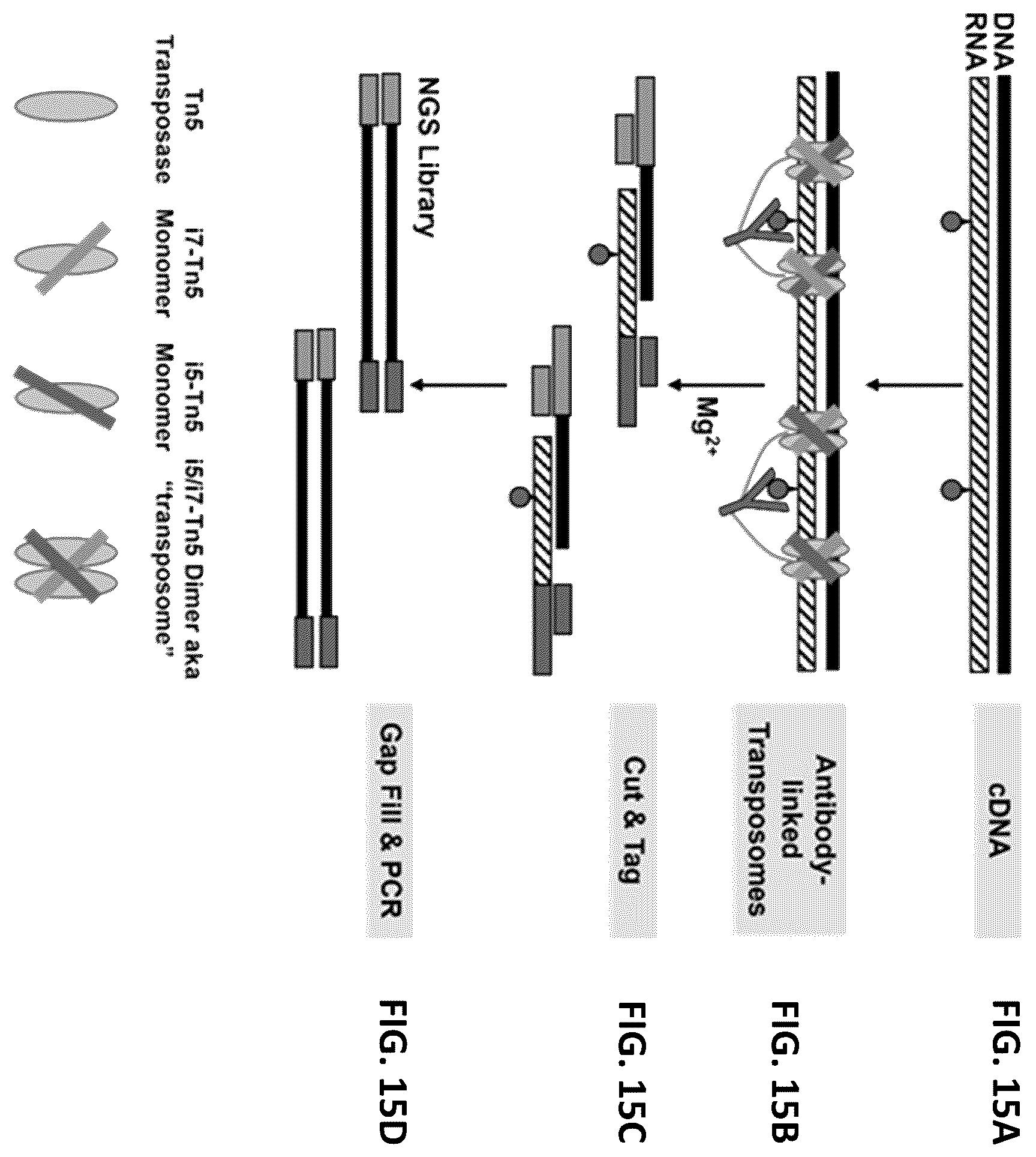 Patent US12338485 Figure 16 – Multiplexed profiling of RNA and DNA modifications