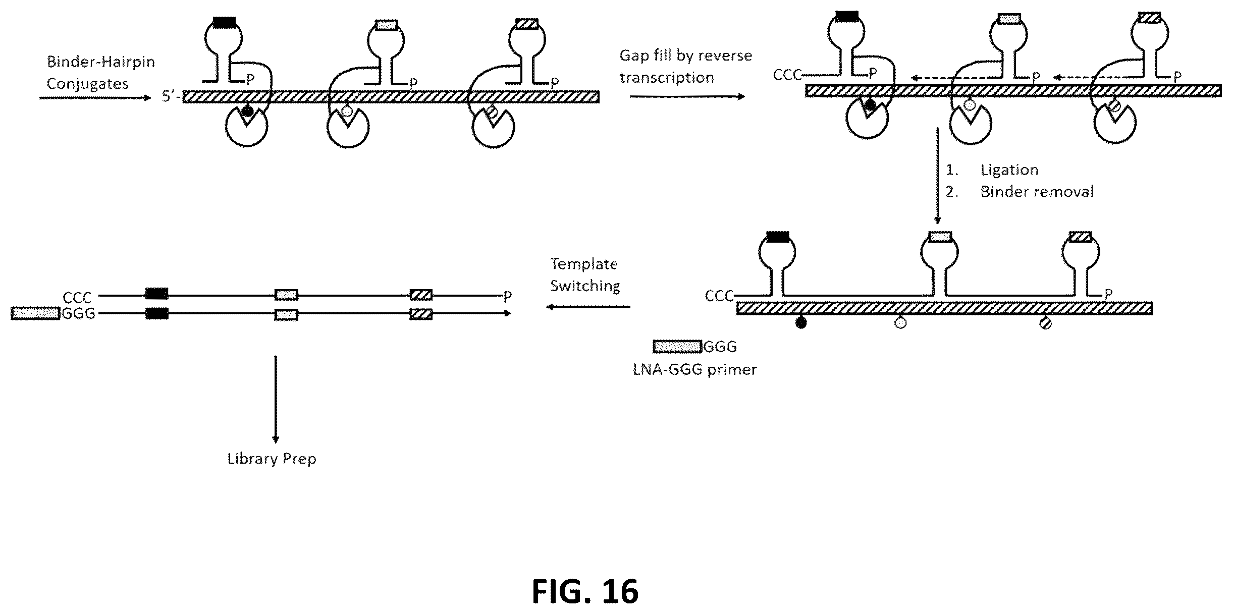 Patent US12338485 Figure 17 – Multiplexed profiling of RNA and DNA modifications