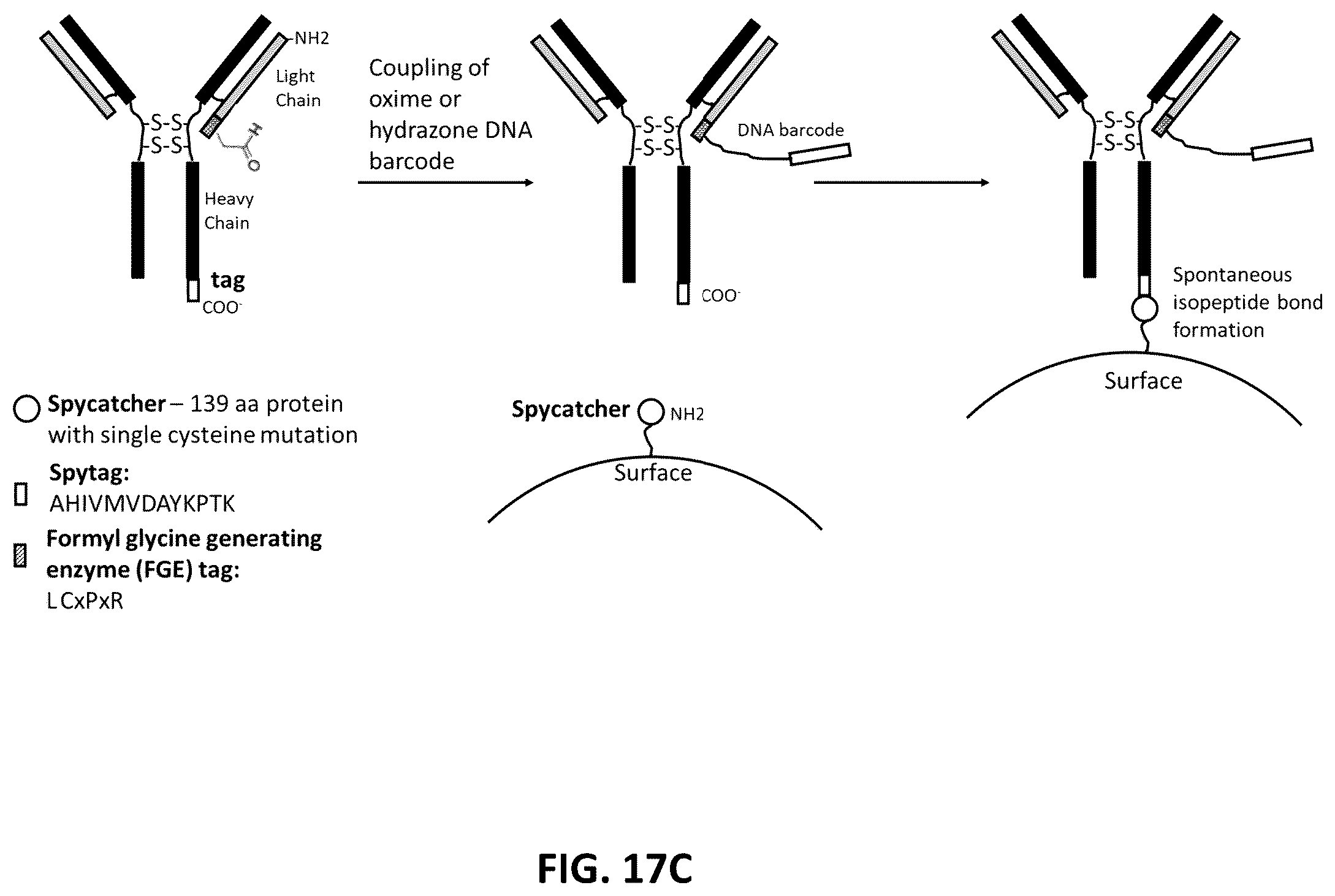 Patent US12338485 Figure 19 – Multiplexed profiling of RNA and DNA modifications