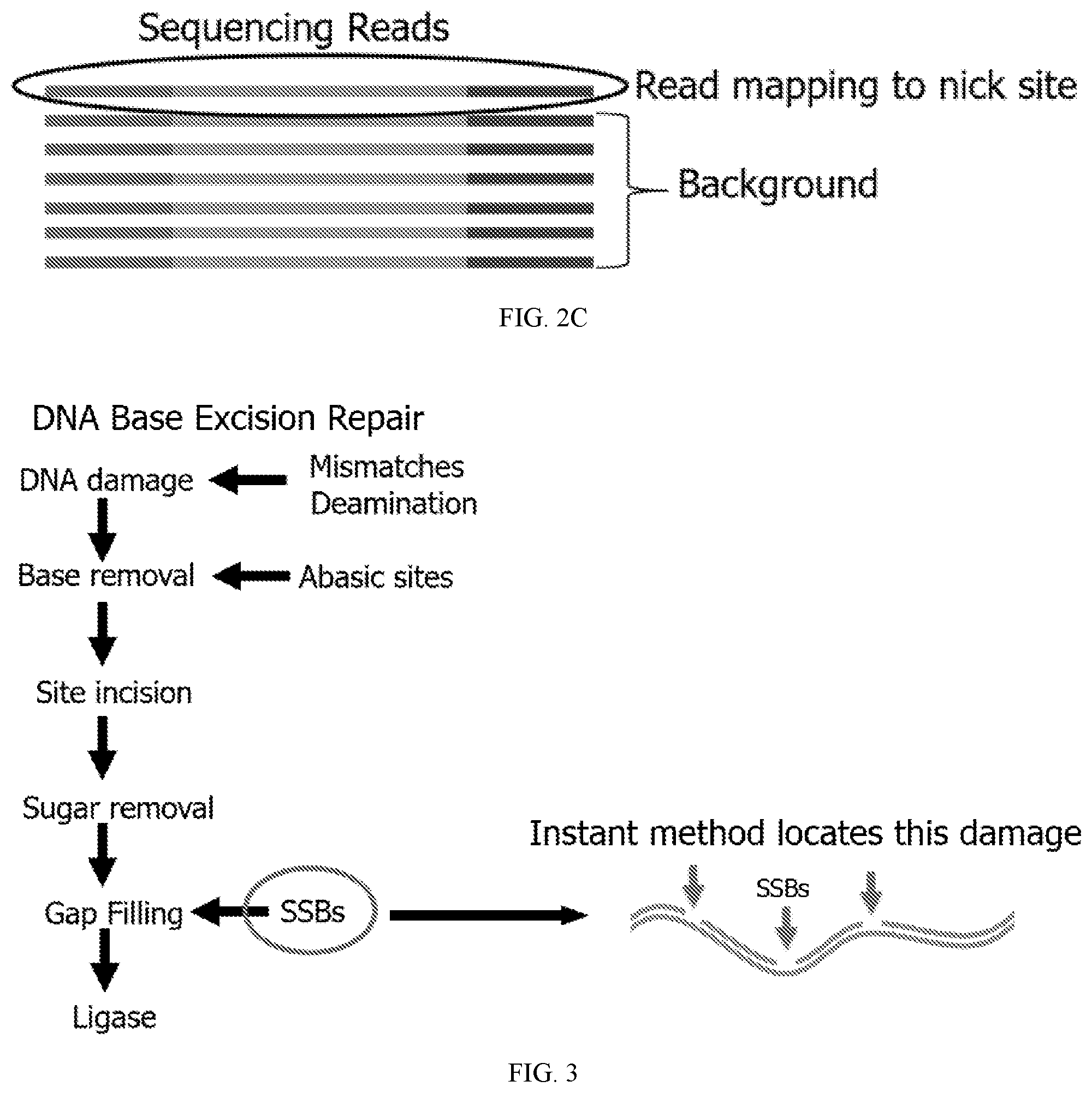 Patent US12338486 Figure 2 – Single-stranded break detection in double-stranded DNA