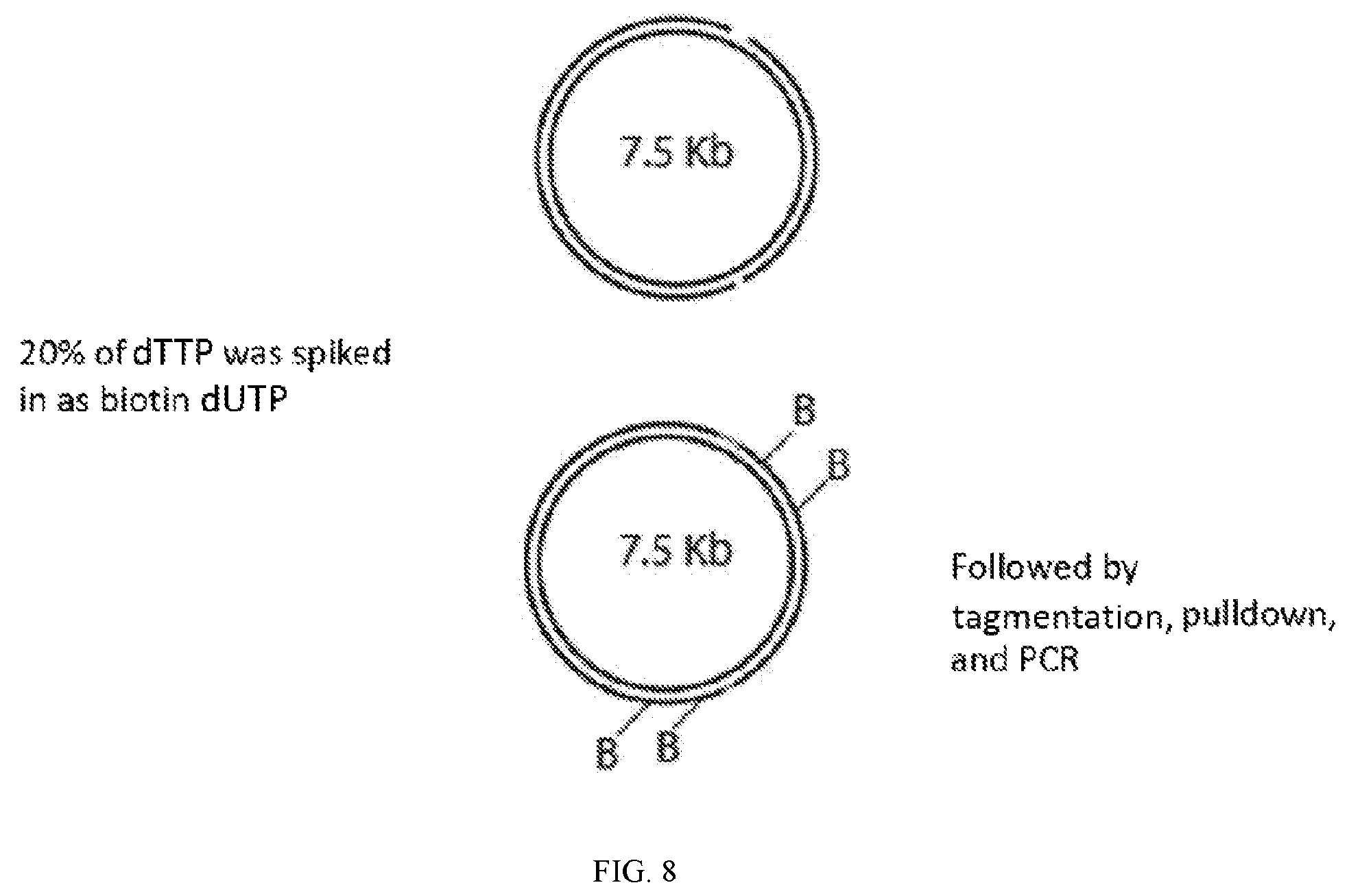 Patent US12338486 Figure 7 – Single-stranded break detection in double-stranded DNA