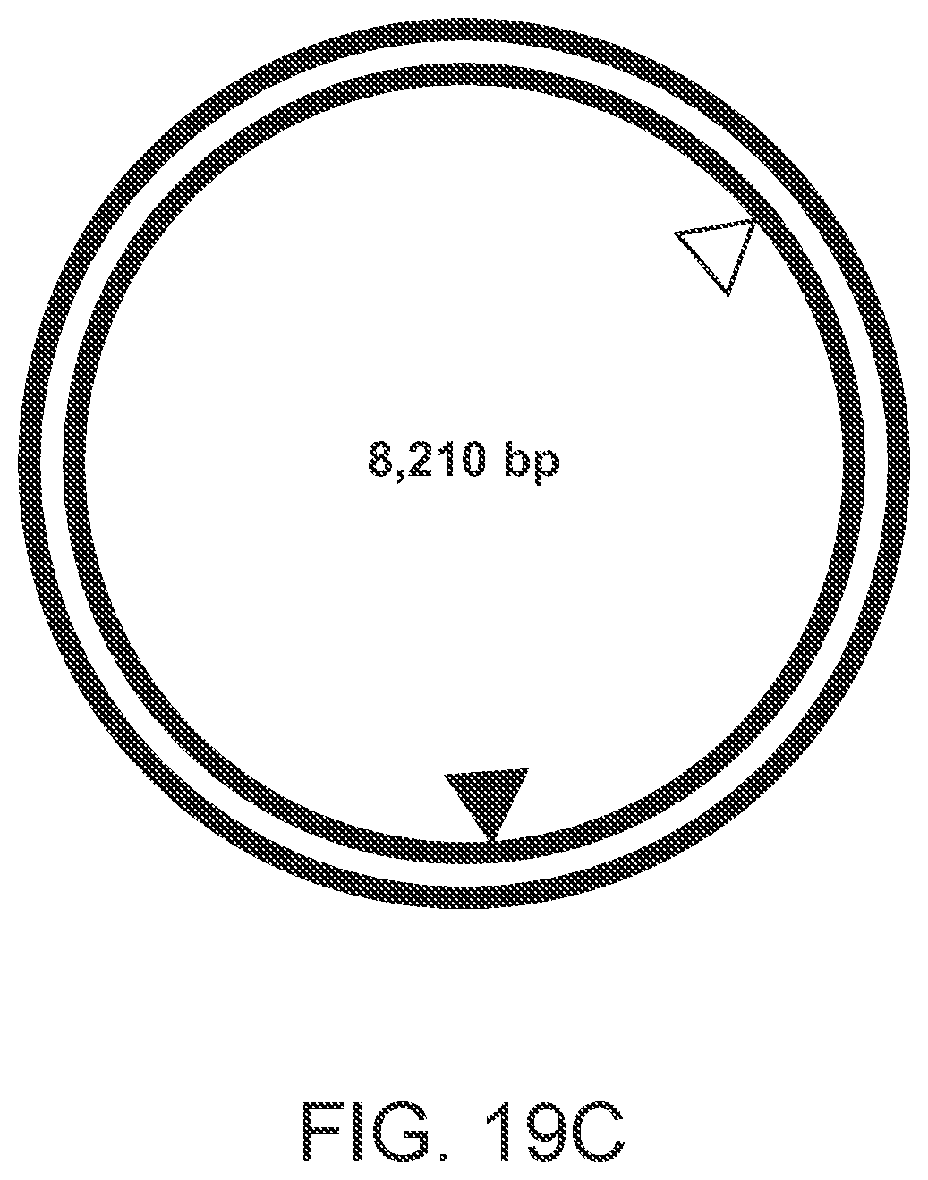 Patent US12338486 Figure 19 – Single-stranded break detection in double-stranded DNA