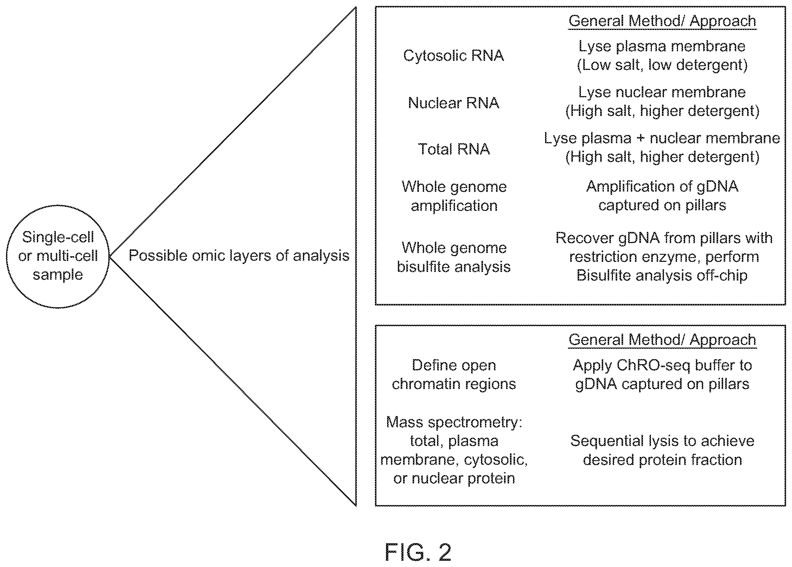 Patent US12338487 Figure 2 – Multiomic analysis of cell analytes using microfluidic systems